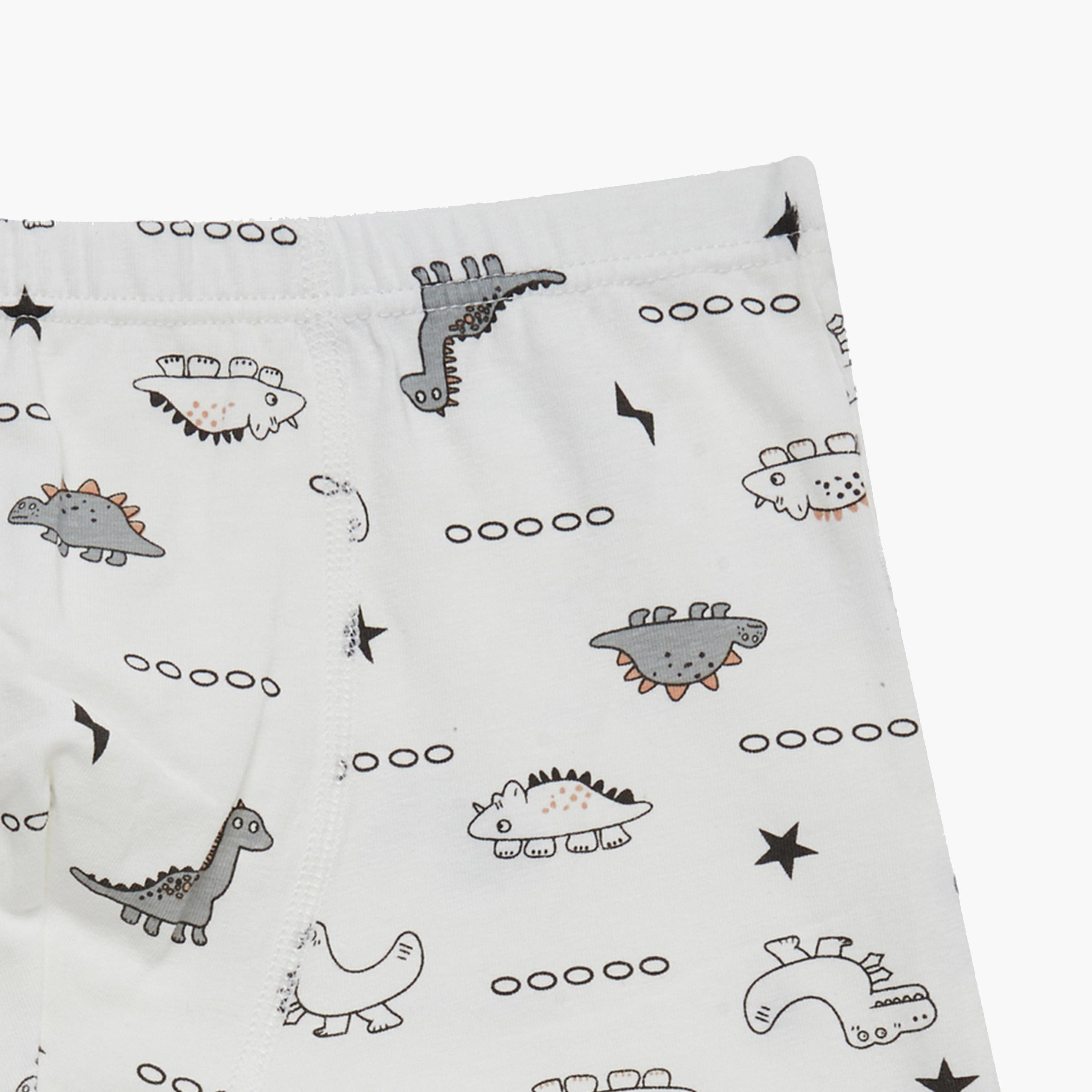Styli Pack of 4 - Printed Briefs-boys-clothing-innerwear-image-10