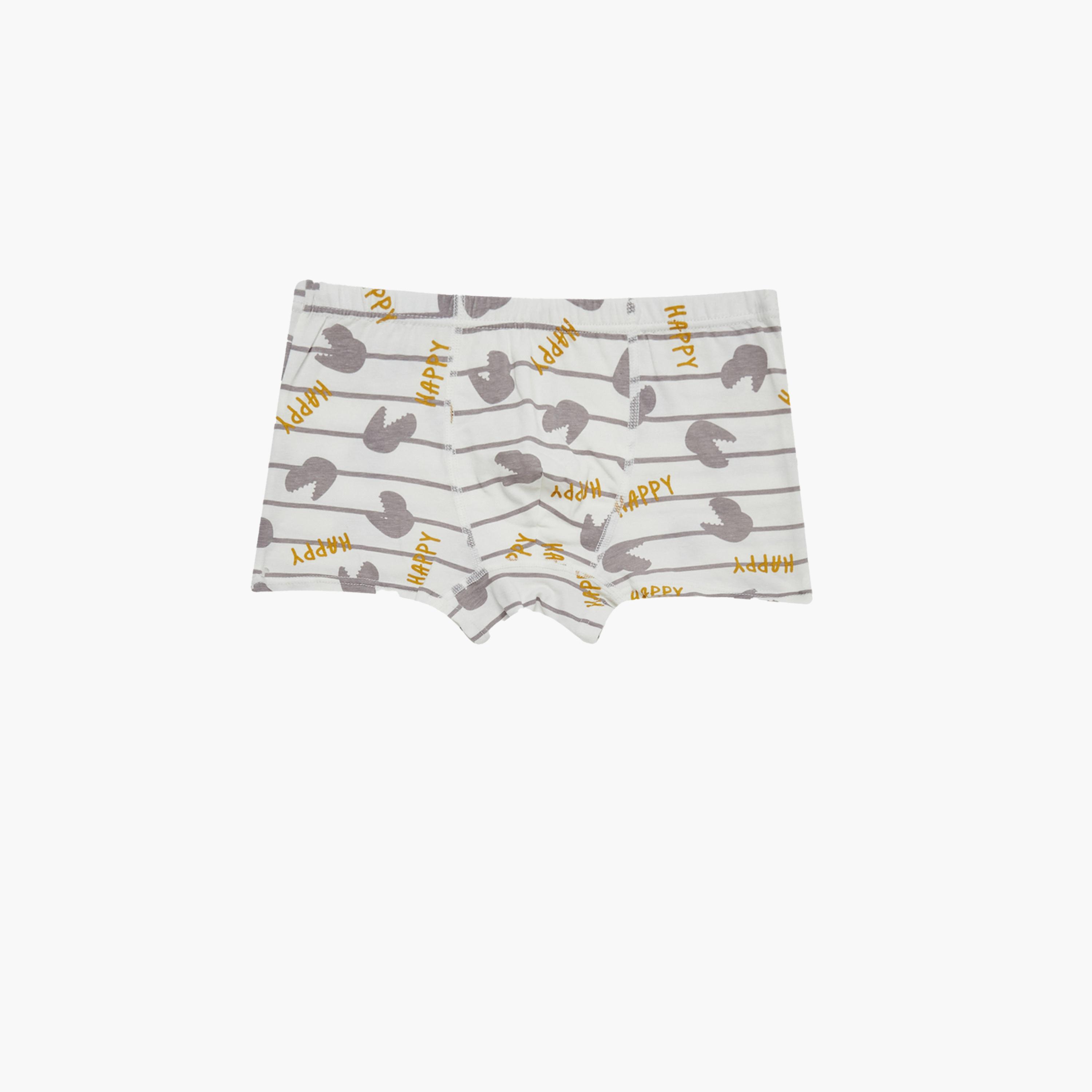 Styli Pack of 4 - Printed Briefs-boys-clothing-innerwear-image-2