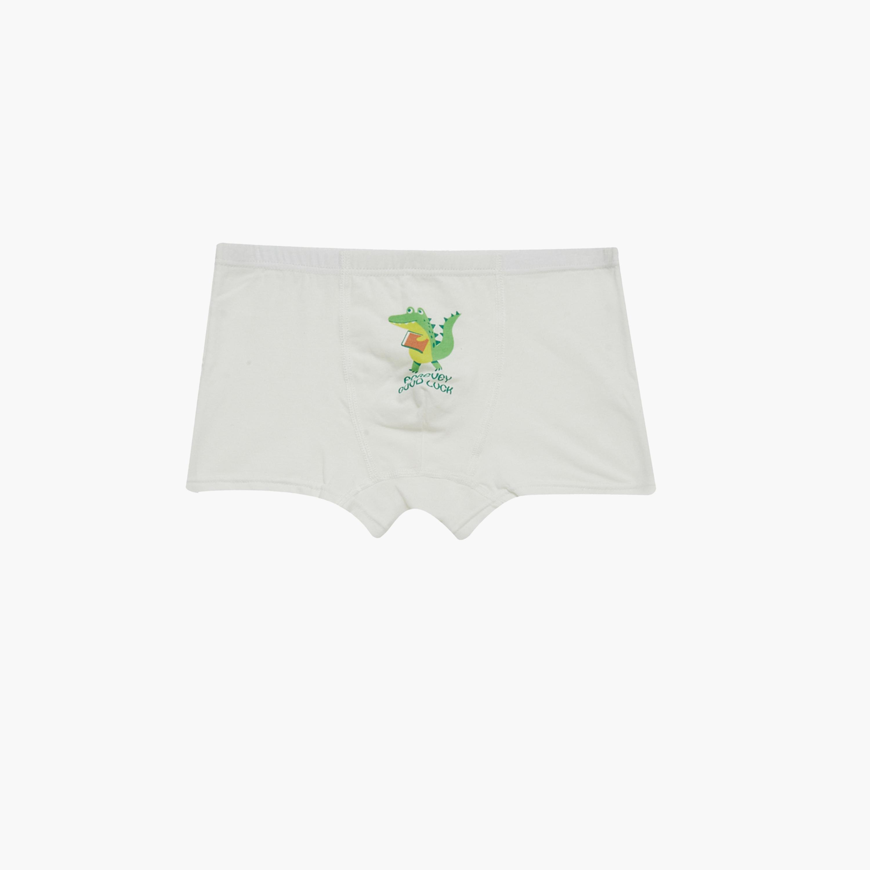 Styli Pack of 4 - Printed Briefs-boys-clothing-innerwear-image-4