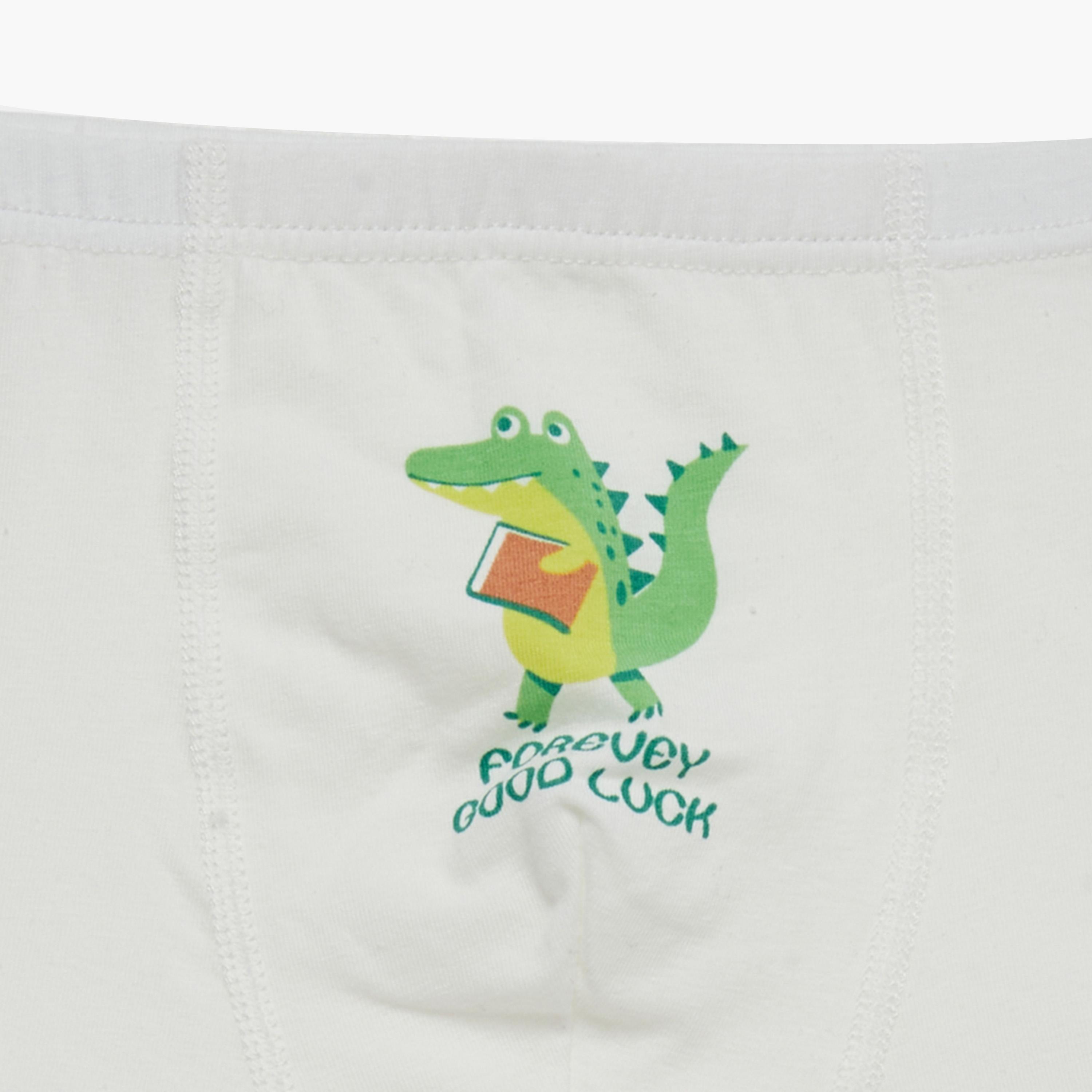 Styli Pack of 4 - Printed Briefs-boys-clothing-innerwear-image-5