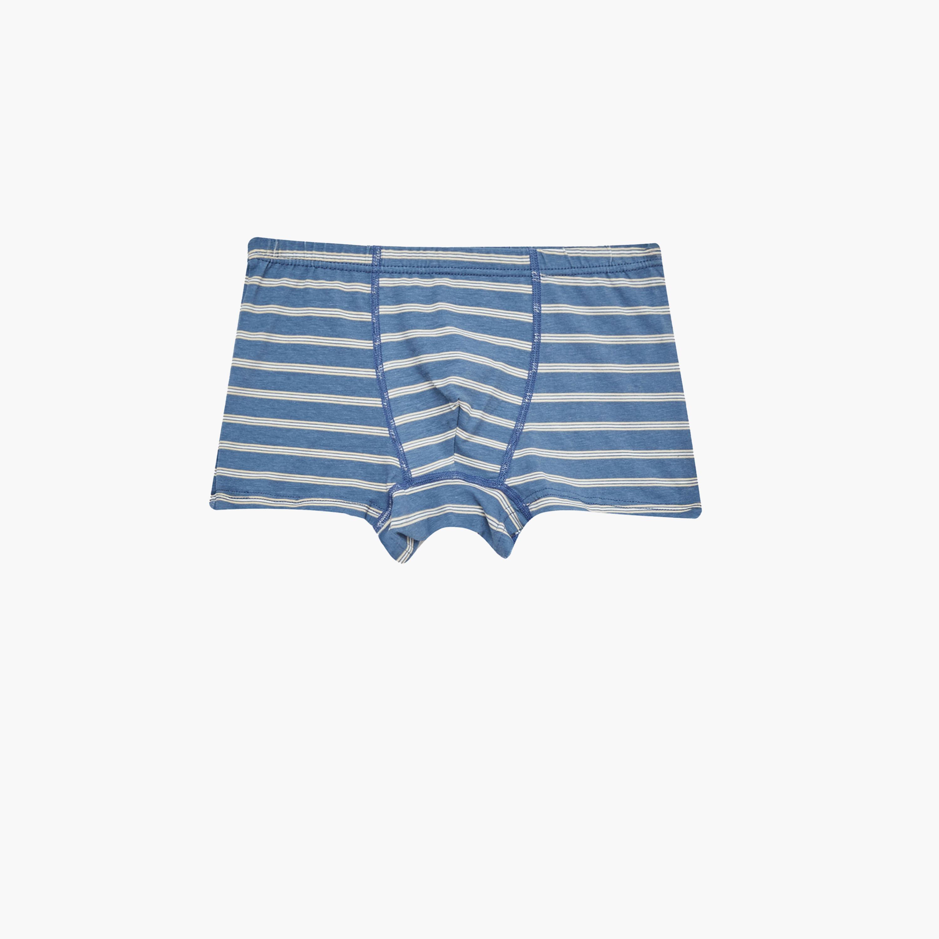 Styli Pack of 4 - Printed Briefs-boys-clothing-innerwear-image-6