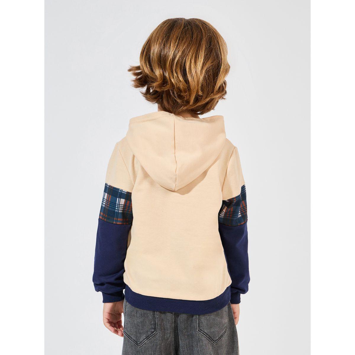 هودي خفيف بتفاصيل مُتباينة-baby-boys-clothing-sweatshirts-image-4