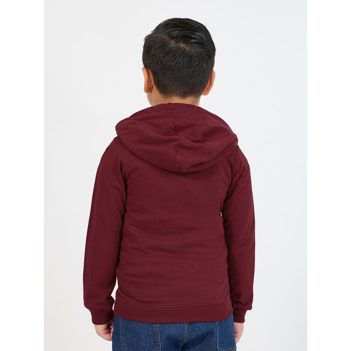 هودي بتفاصيل مُطرّزة وسحَّاب غلق-boys-clothing-sweatshirts-image-4