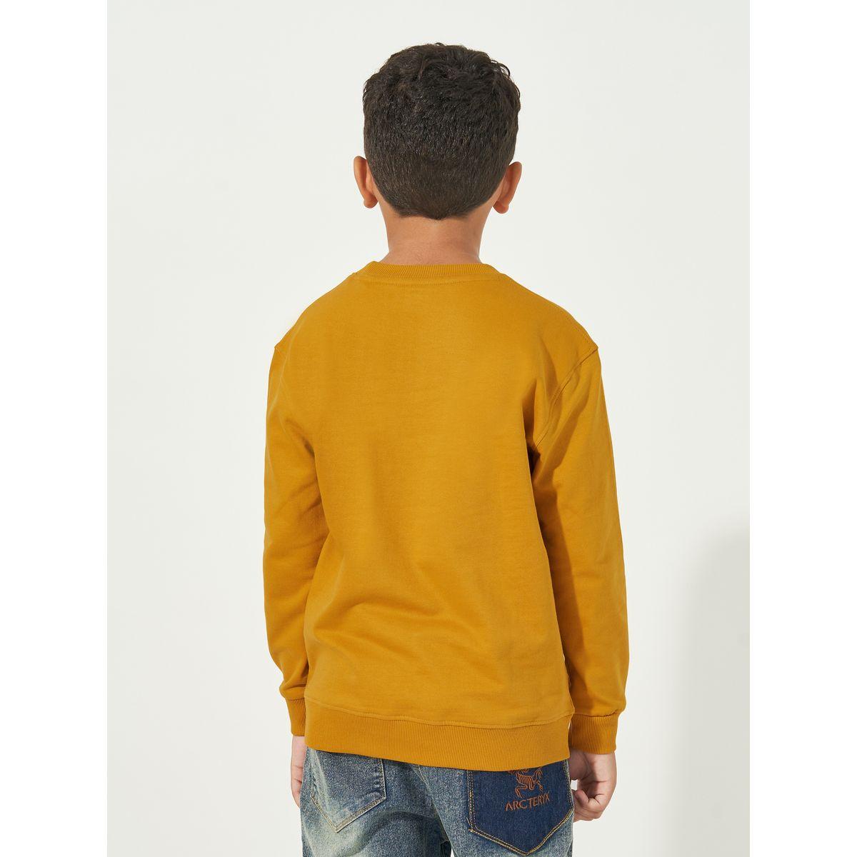 Styli Graphic Print Round Neck Long Sleeves Sweatshirt-boys-clothing-sweatshirts-image-4