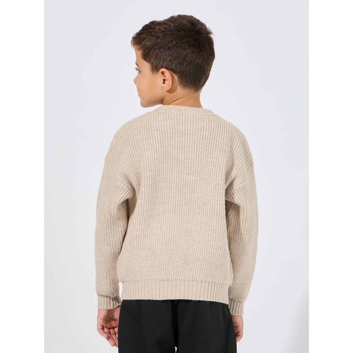Styli Round Neck Knitted Sweater-boys-clothing-jumpersandcardigans-image-4