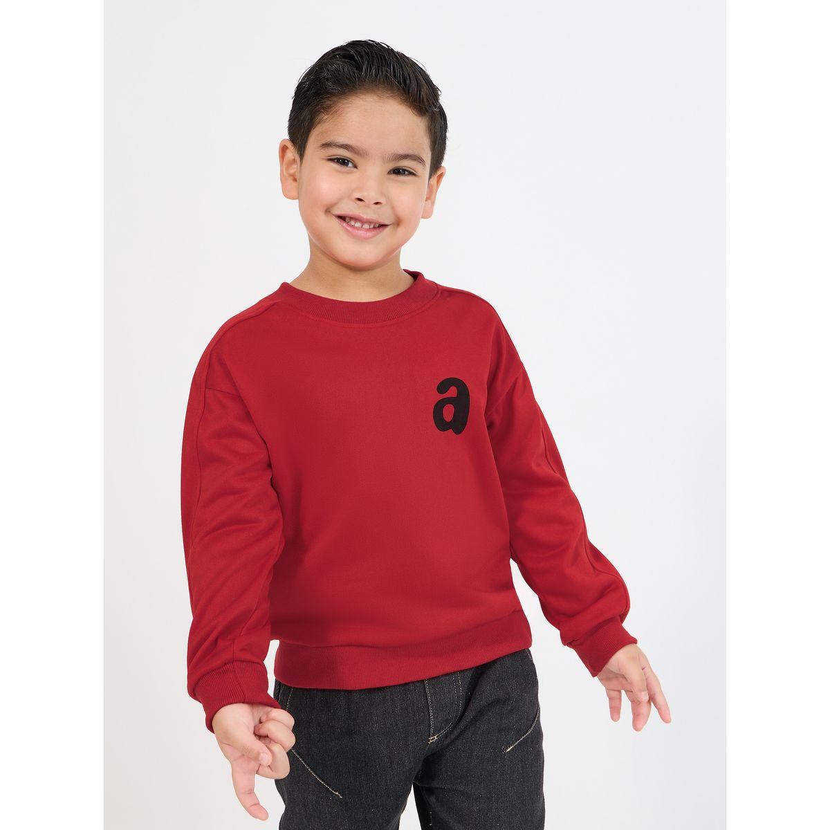 Styli Printed Long Sleeve Sweatshirt-boys-clothing-sweatshirts-image-1