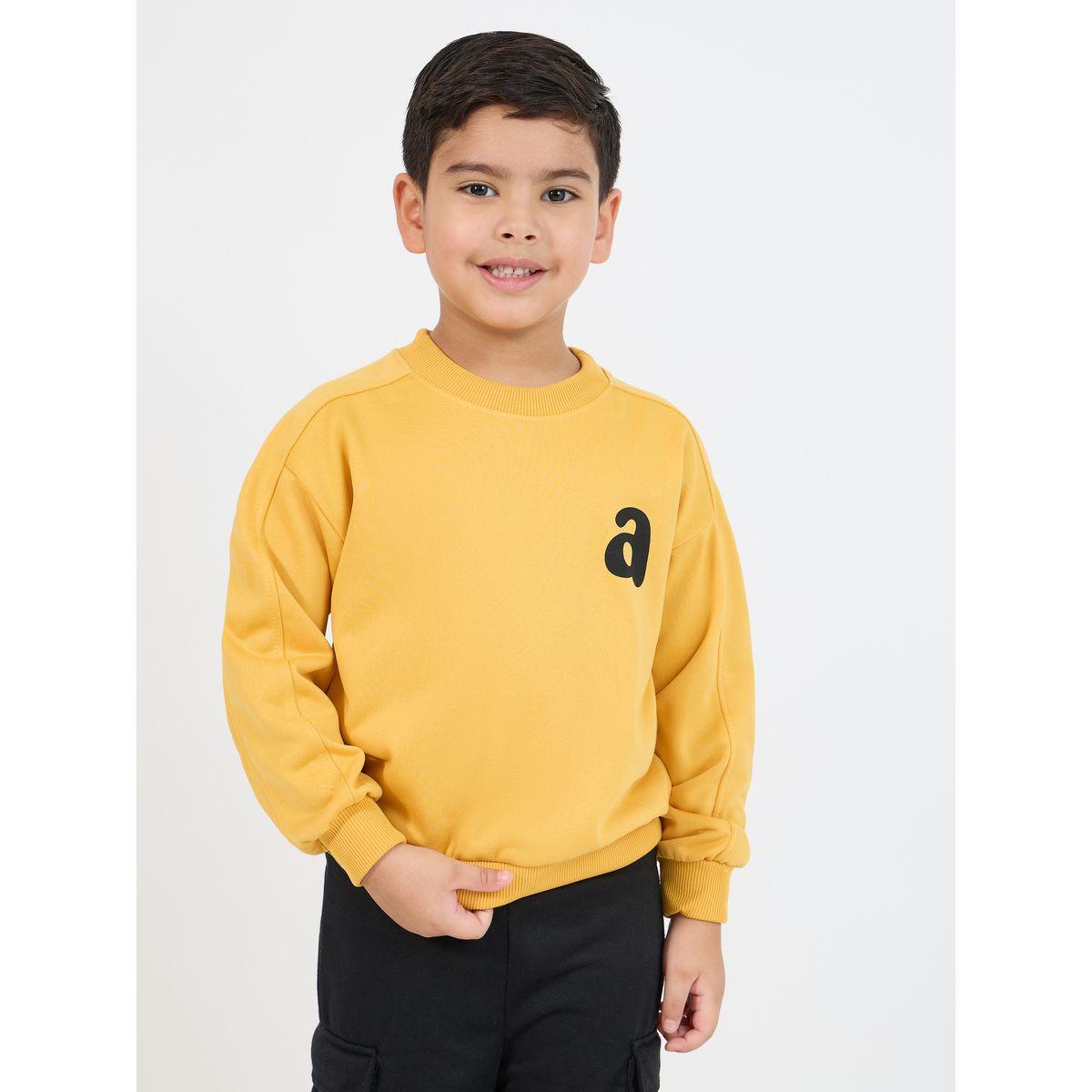 Styli Printed Long Sleeve Sweatshirt-boys-clothing-sweatshirts-image-1