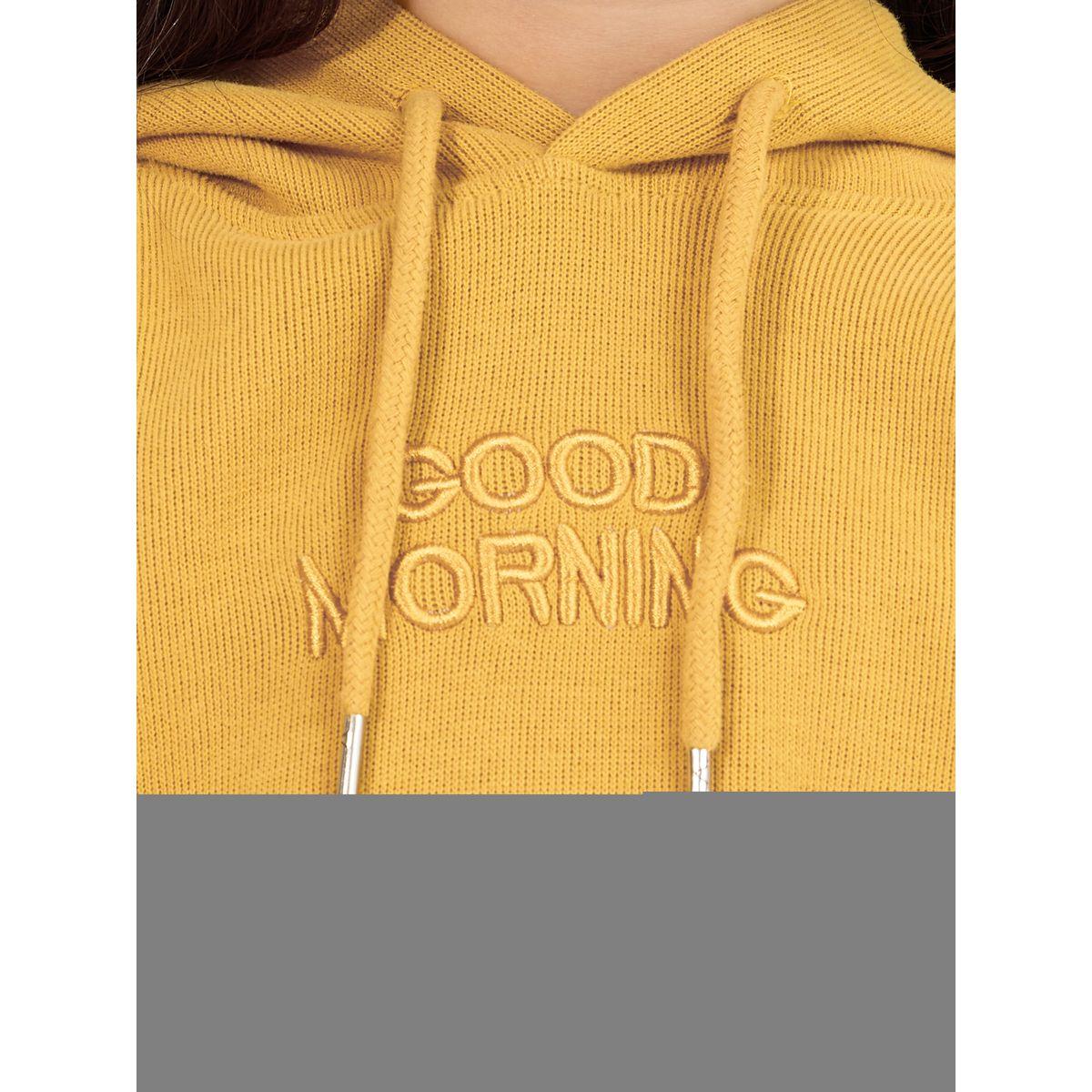Styli Oversized Embroidered Slogan Hoodie-girls-clothing-winterwear-sweatshirts-image-3