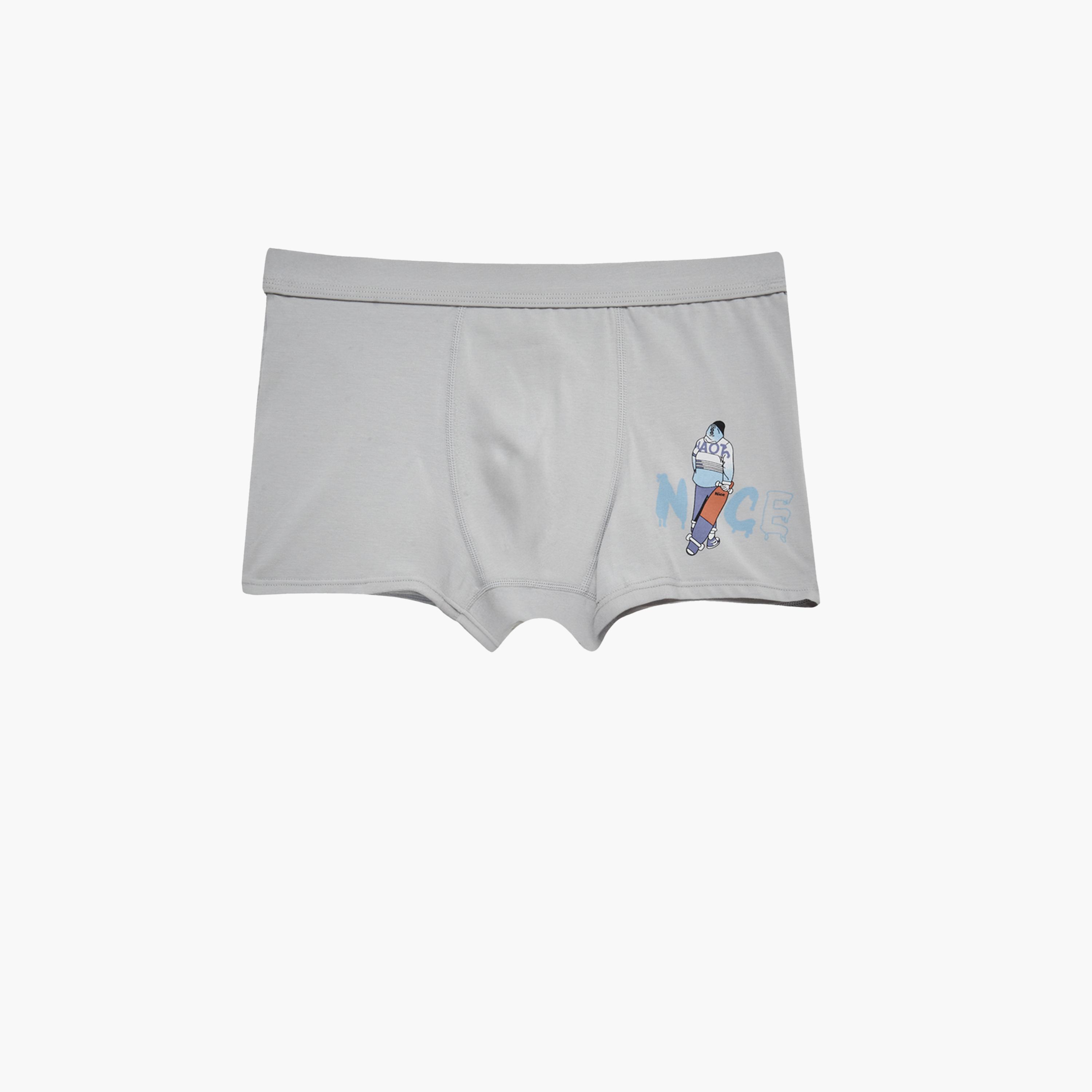 ستايلي - طقم 4 قطع - بوكسر قطني مطبوع-boys-clothing-innerwear-image-2