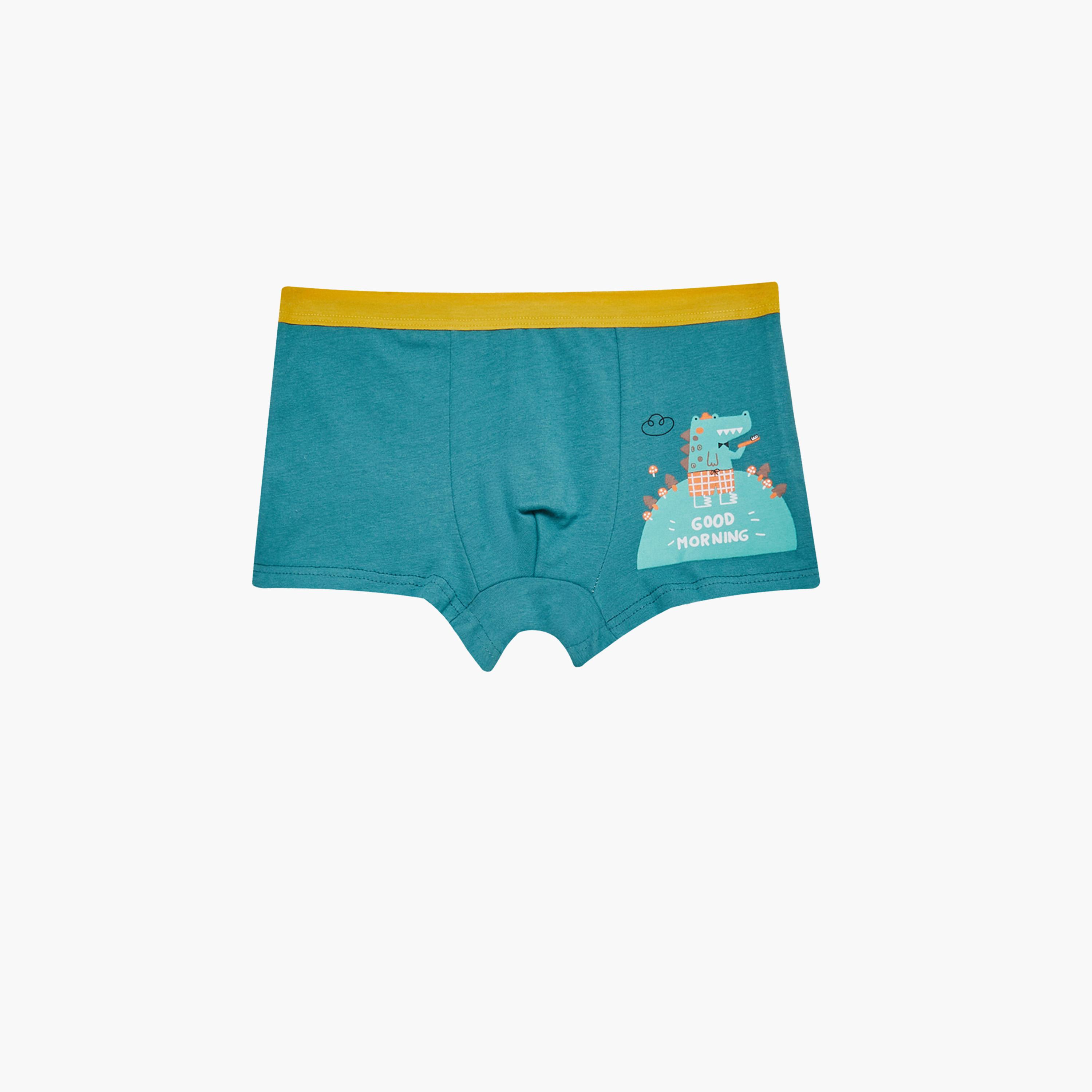 Styli Pack of 4 - Printed Cotton Boxer Briefs-boys-clothing-innerwear-image-8