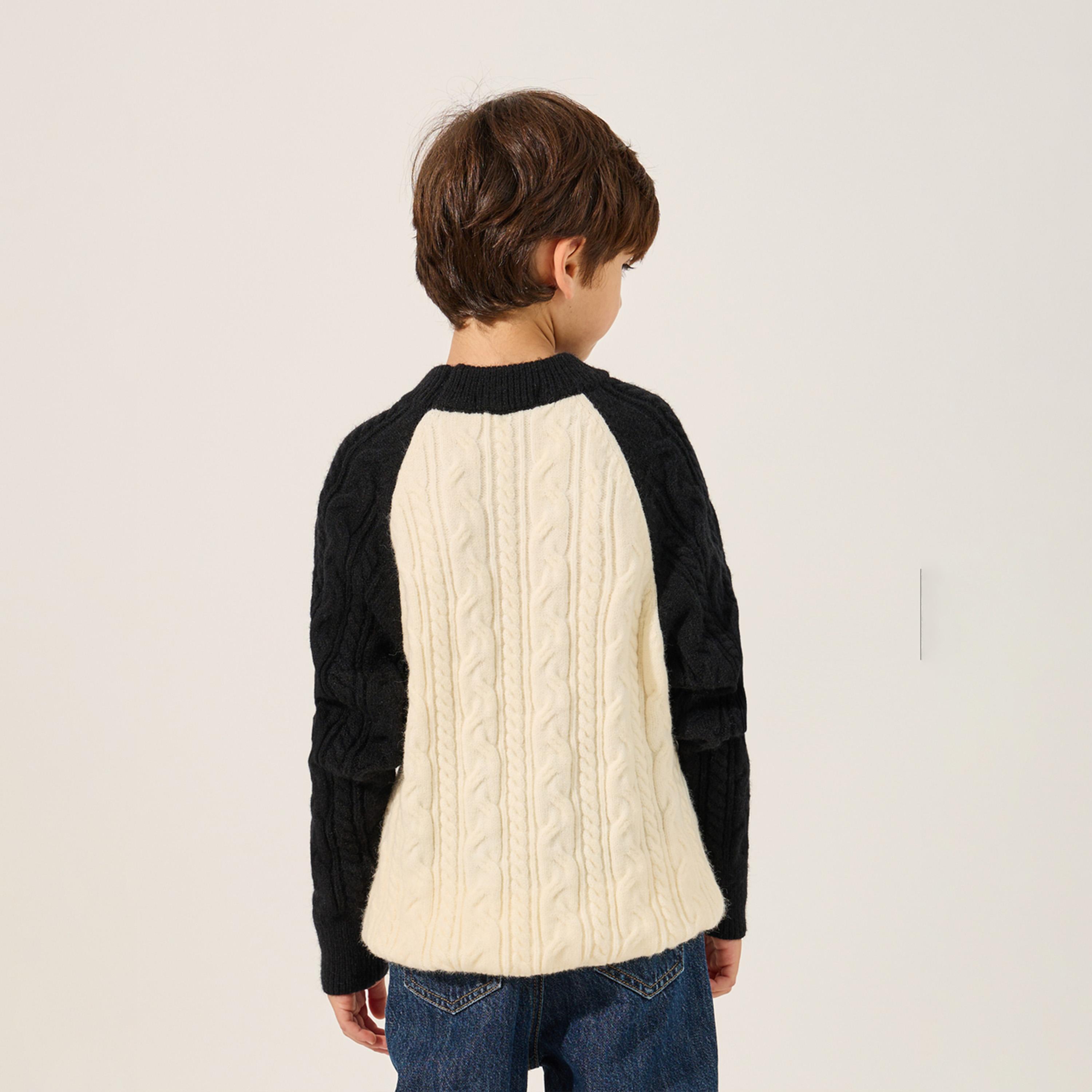 Styli Toddler Boys Cable Knit Coloblock Sleeve Sweater-boys-clothing-jumpersandcardigans-image-4