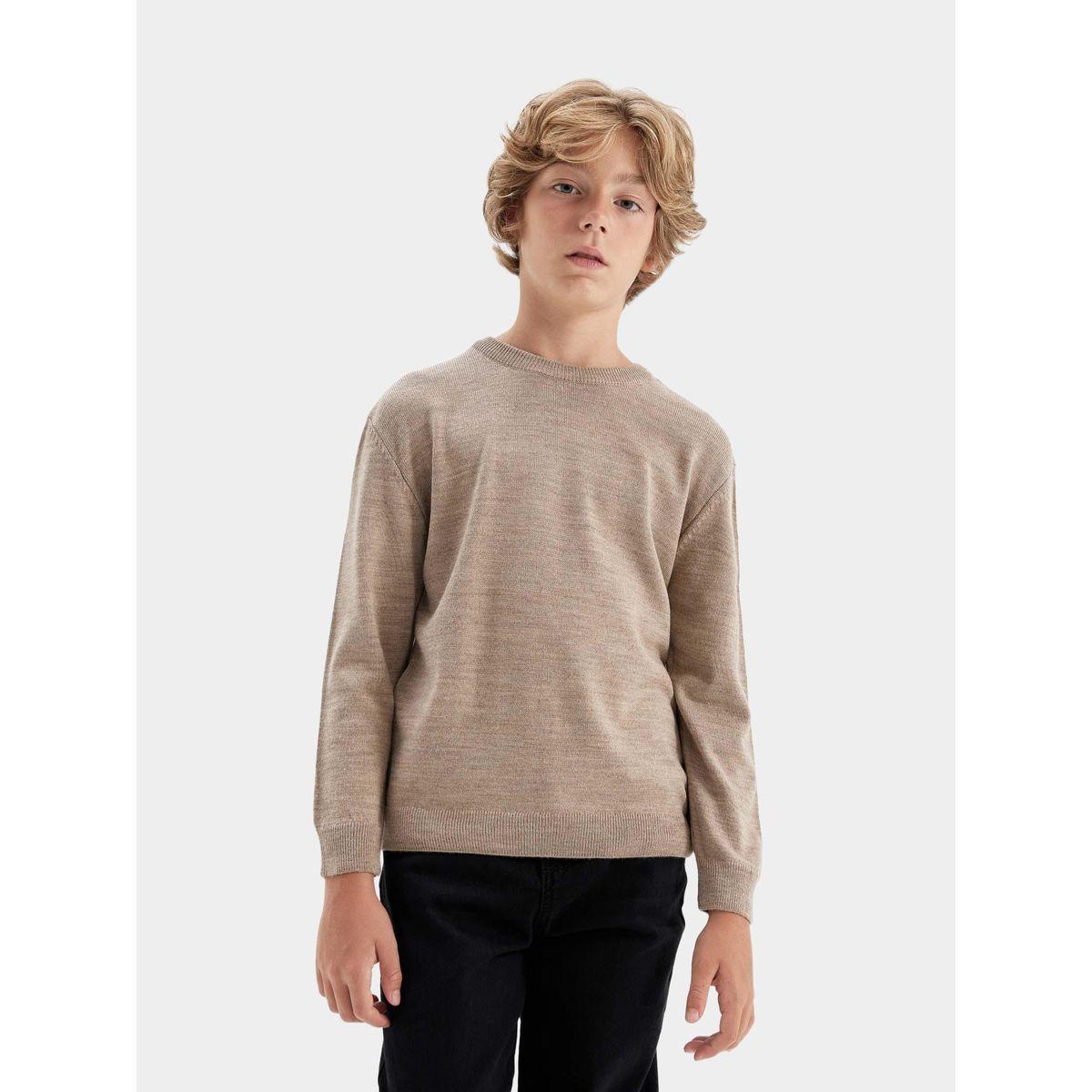 DeFacto X Styli  Regular Fit Crew Neck Knit Sweater-boys-clothing-jumpersandcardigans-image-3