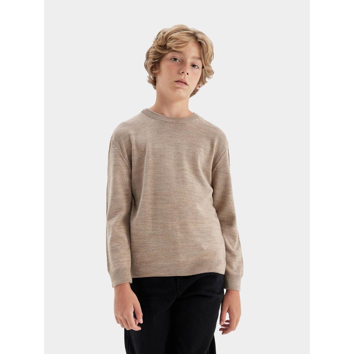 DeFacto X Styli  Regular Fit Crew Neck Knit Sweater-boys-clothing-jumpersandcardigans-image-6