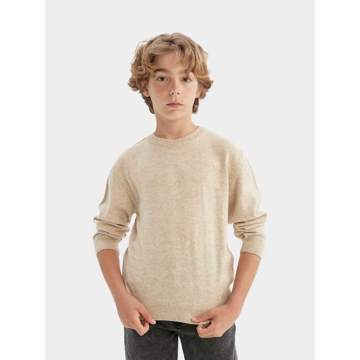 DeFacto X Styli  Regular Fit Crew Neck Knit Sweater-boys-clothing-jumpersandcardigans-image-4