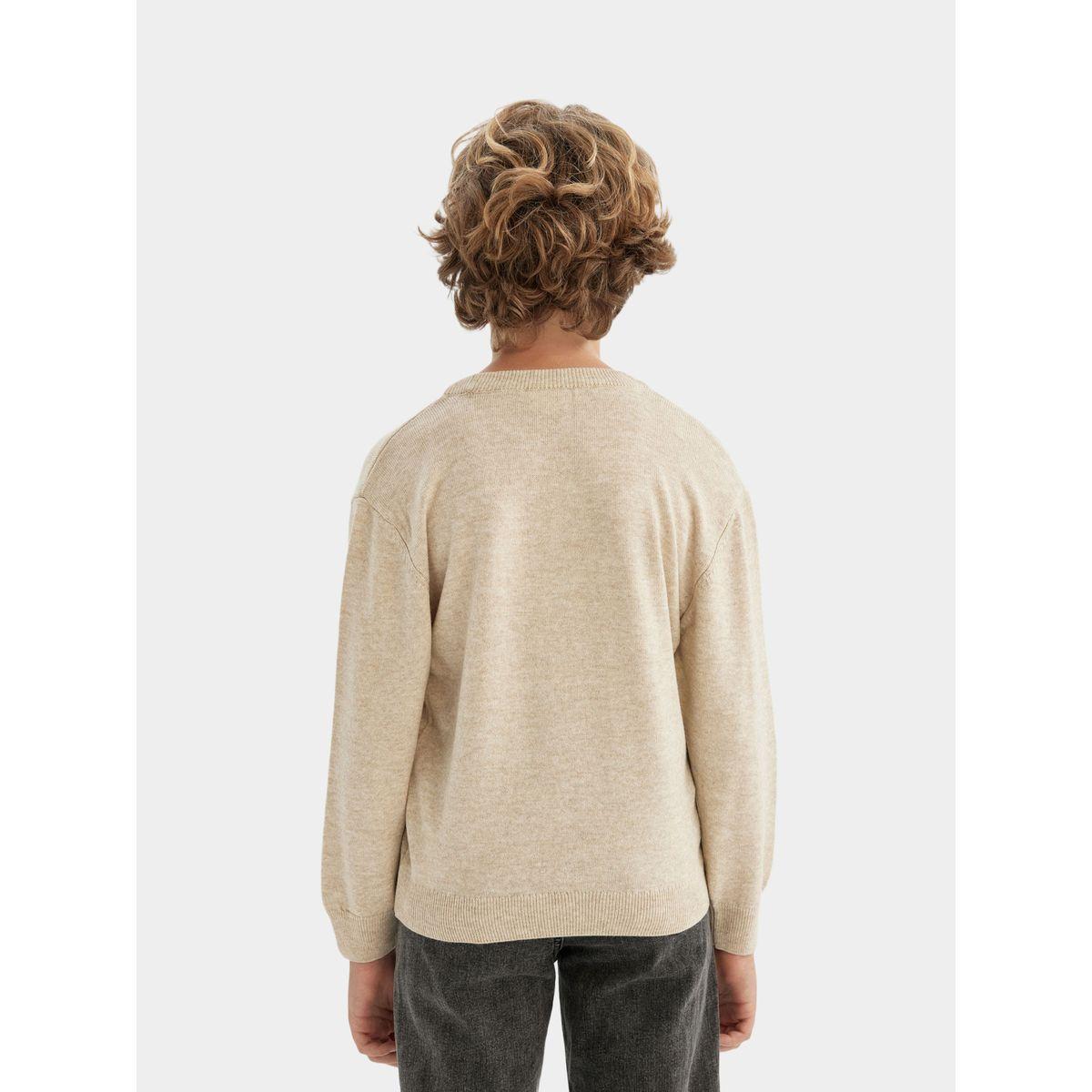 DeFacto X Styli  Regular Fit Crew Neck Knit Sweater-boys-clothing-jumpersandcardigans-image-5