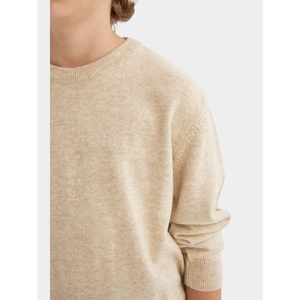 DeFacto X Styli  Regular Fit Crew Neck Knit Sweater-boys-clothing-jumpersandcardigans-image-6