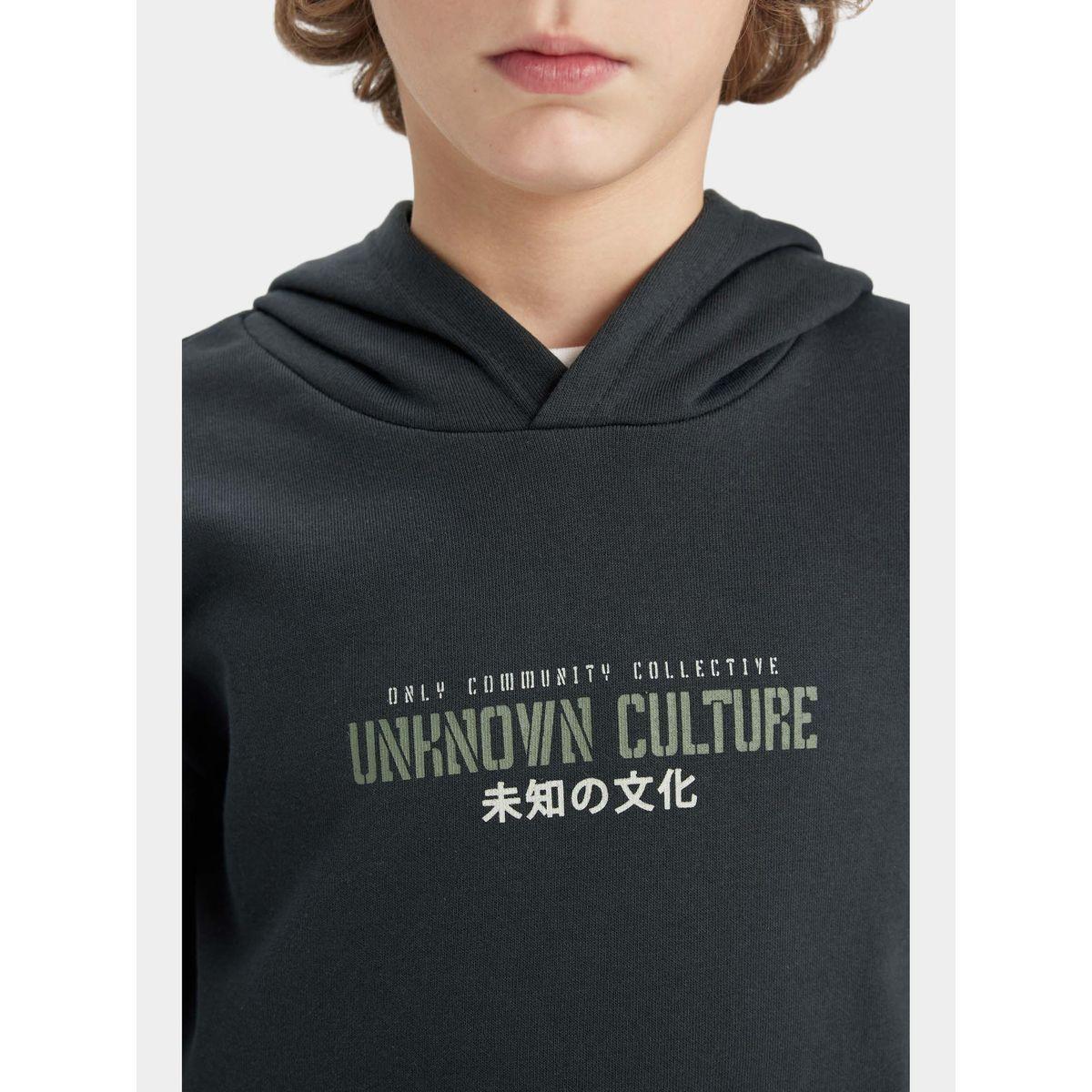 DeFacto X Styli  Regular Fit Graphic Print Hooded Sweatshirt-boys-clothing-sweatshirts-image-4