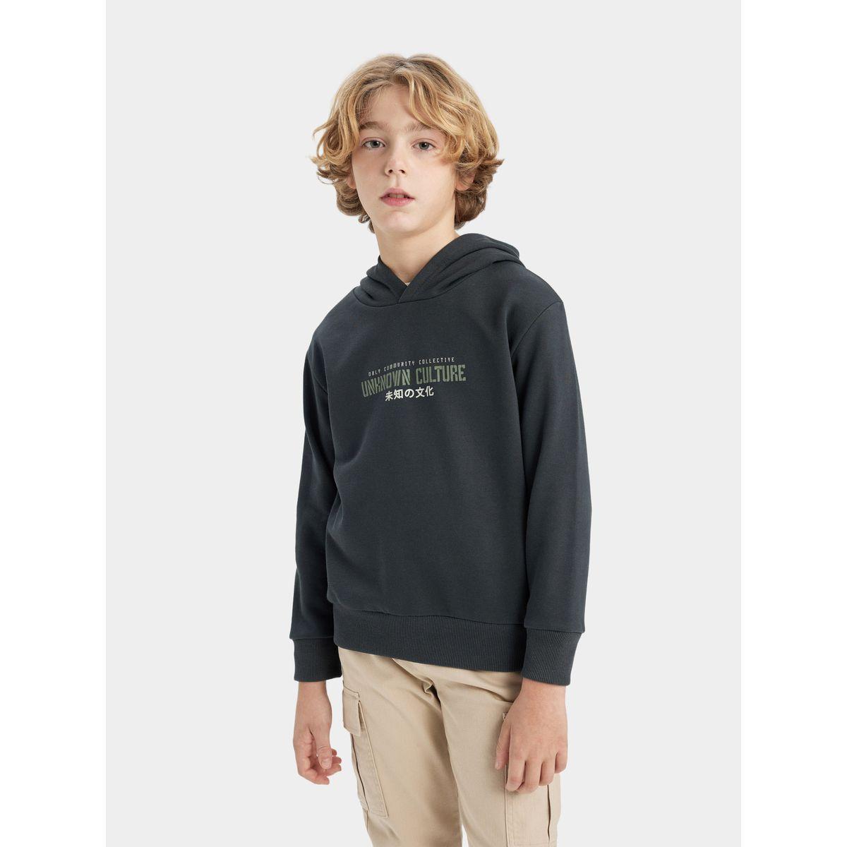 DeFacto X Styli  Regular Fit Graphic Print Hooded Sweatshirt-boys-clothing-sweatshirts-image-6