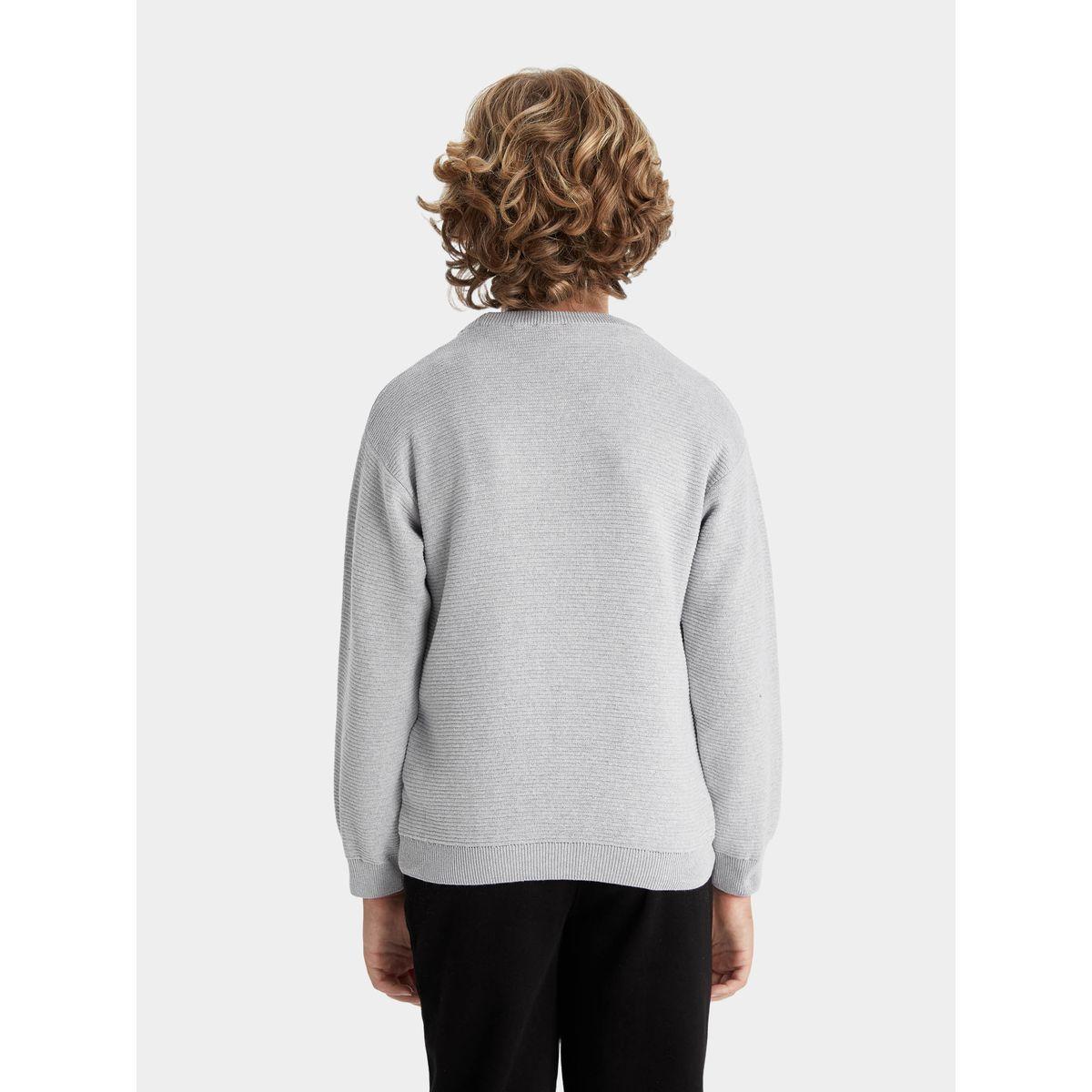 DeFacto X Styli  Regular Fit Cre Neck Basic Knit Sweater-boys-clothing-jumpersandcardigans-image-6