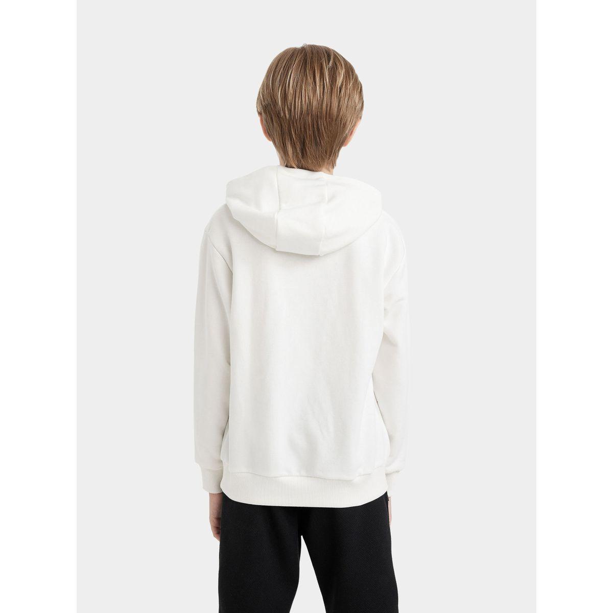 سويت شيرت بطبعة جرافيك وياقة هودي ديفاكتو × ستايلي-boys-clothing-winterwear-sweatshirts-image-5