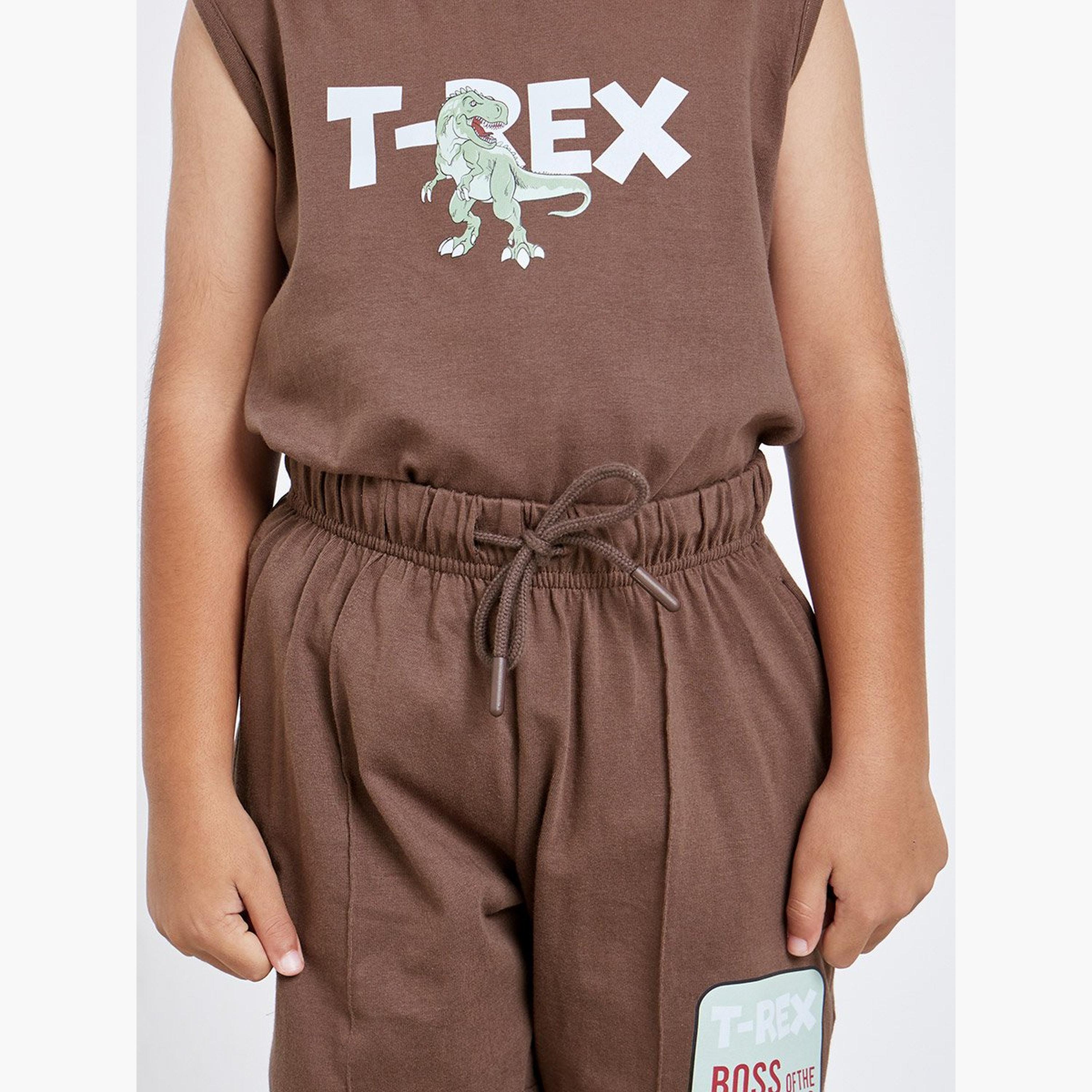 طقم منسق من شورت وتيشيرت كت بطبعة ديناصور-boys-clothing-setsandcoords-image-4