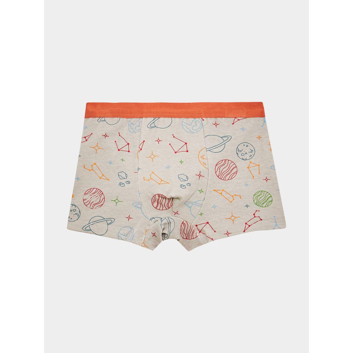 Styli Boys Pack of 4 - Printed Briefs with Contrast Waistband-boys-clothing-innerwear-image-5