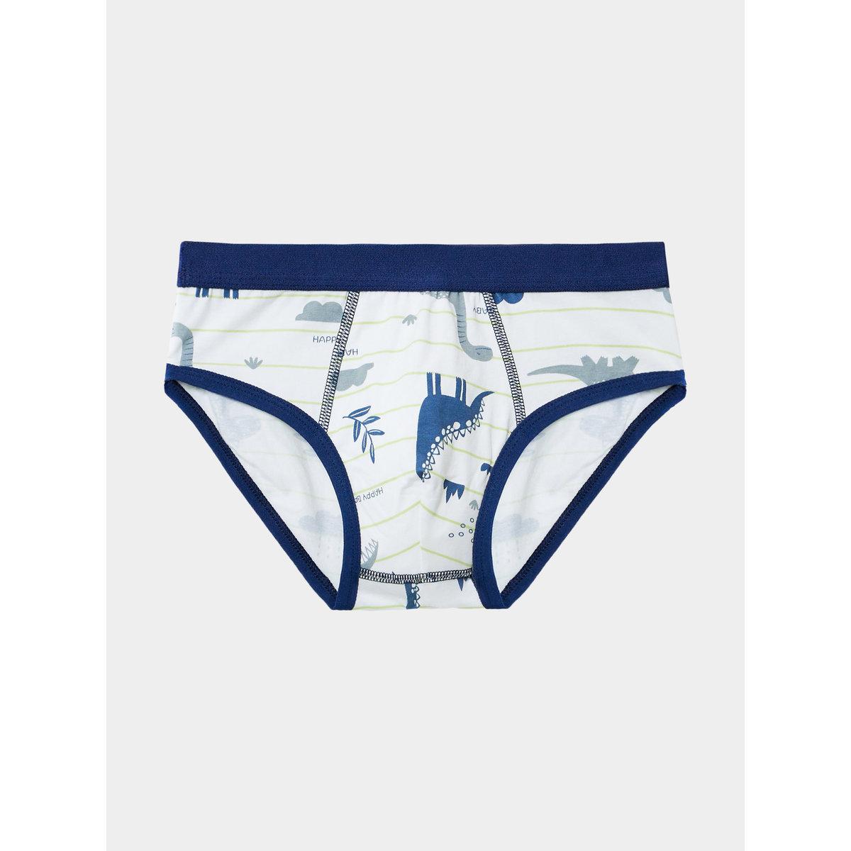 Styli Pack of 4 - Printed Assorted Briefs-boys-clothing-innerwear-image-1