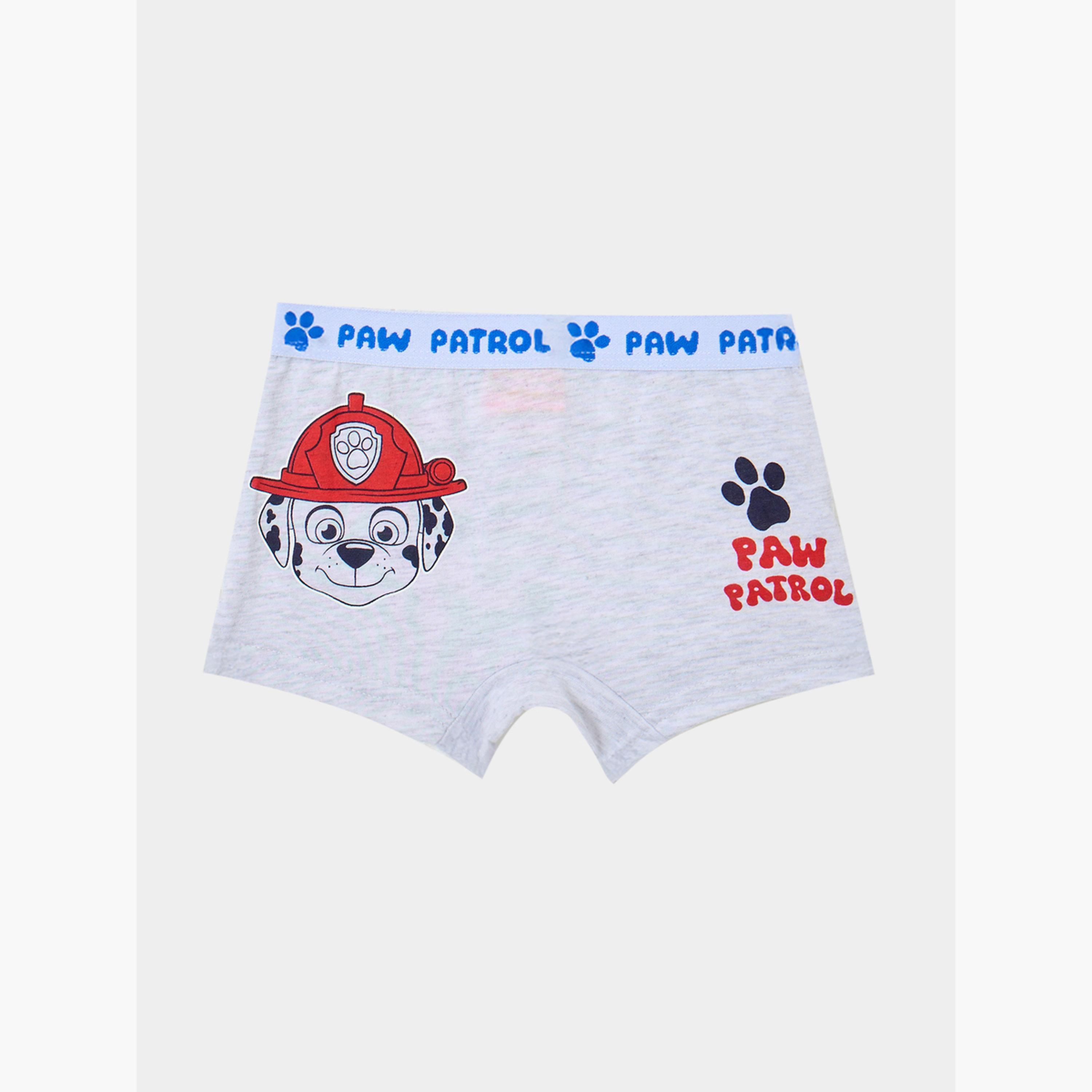 Styli Pack of 2 - Boys Paw Patrol Print Briefs-boys-clothing-bottoms-shorts-image-2
