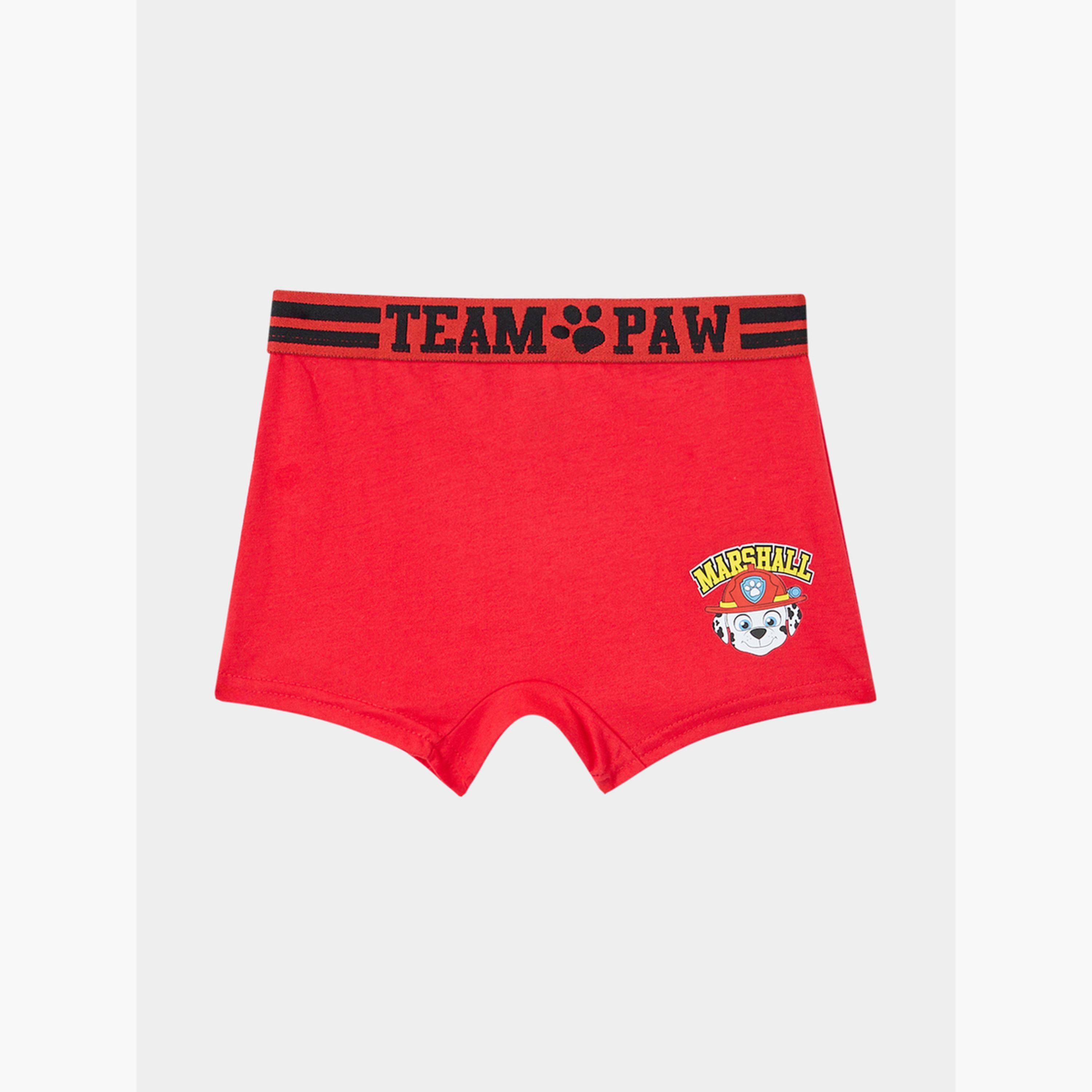 Styli Pack of 3 - Boys Paw Patrol Print Briefs-boys-clothing-innerwear-image-2