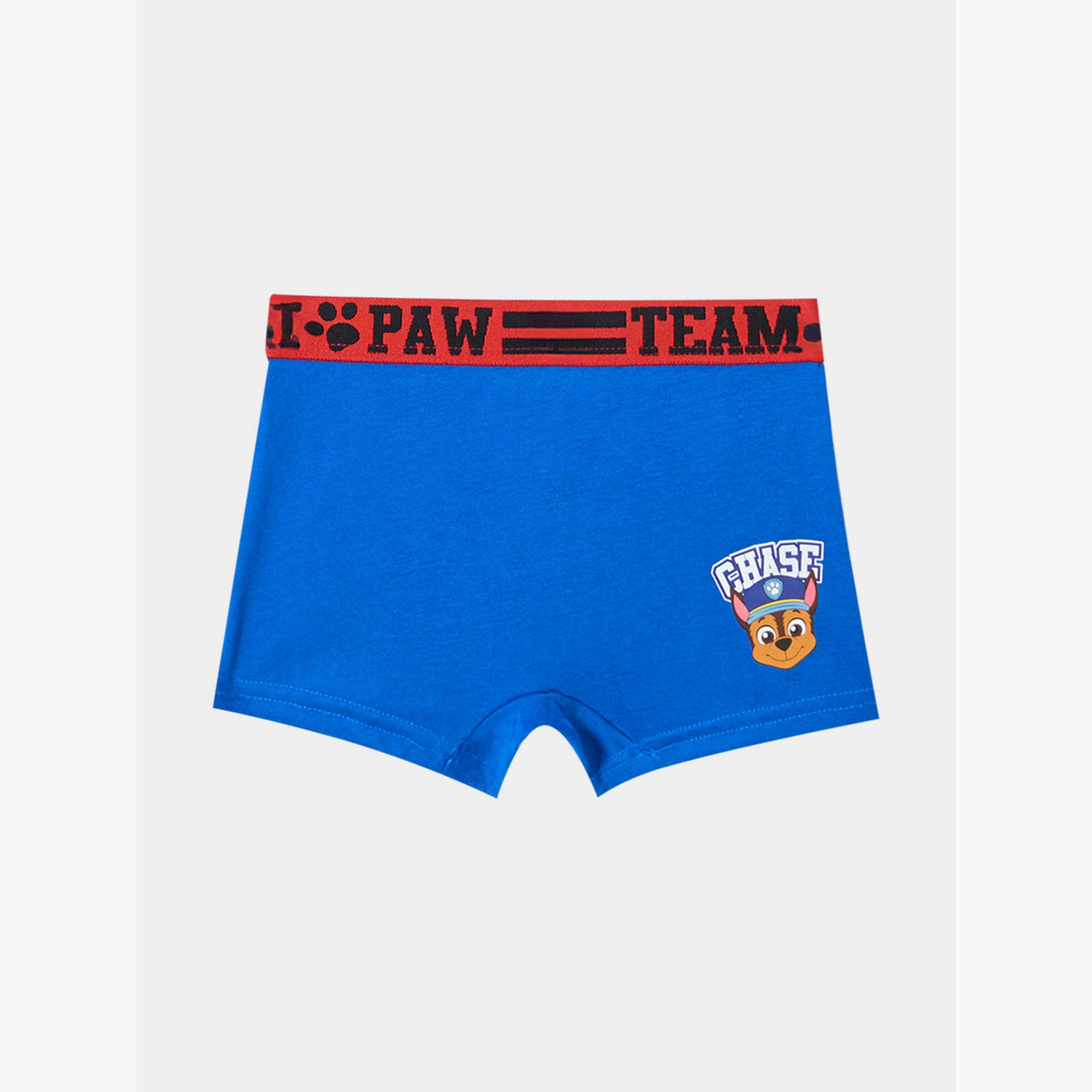 Styli Pack of 3 - Boys Paw Patrol Print Briefs-boys-clothing-innerwear-image-4