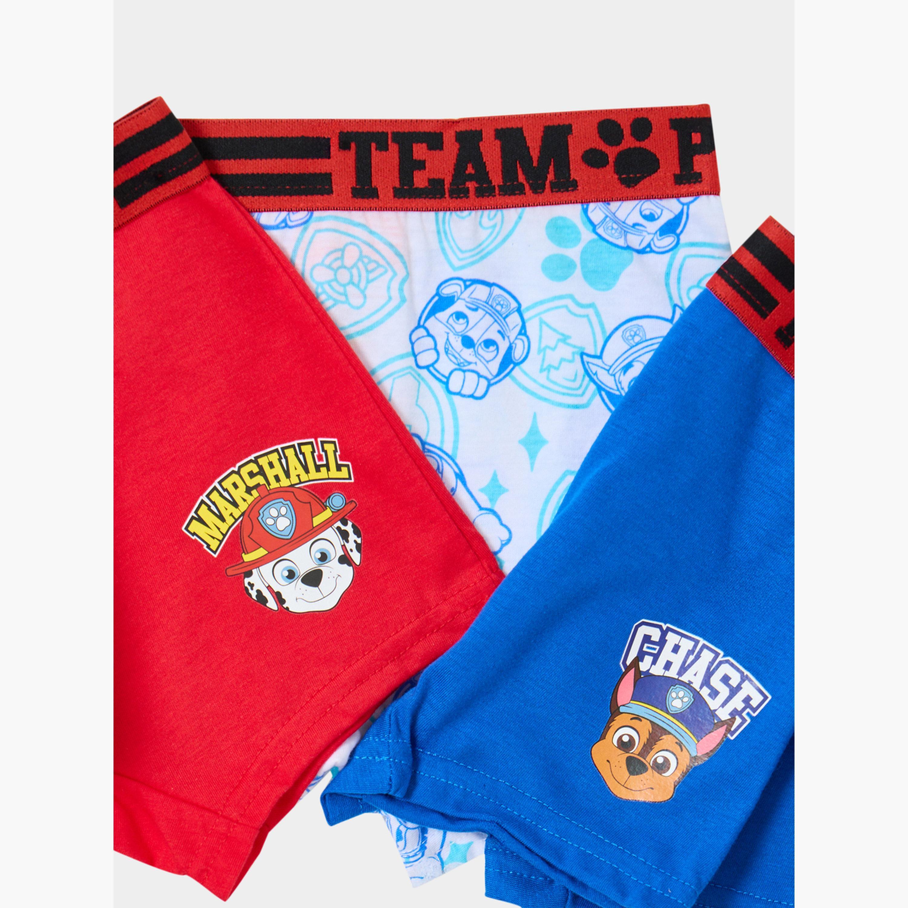 Styli Pack of 3 - Boys Paw Patrol Print Briefs-boys-clothing-innerwear-image-5
