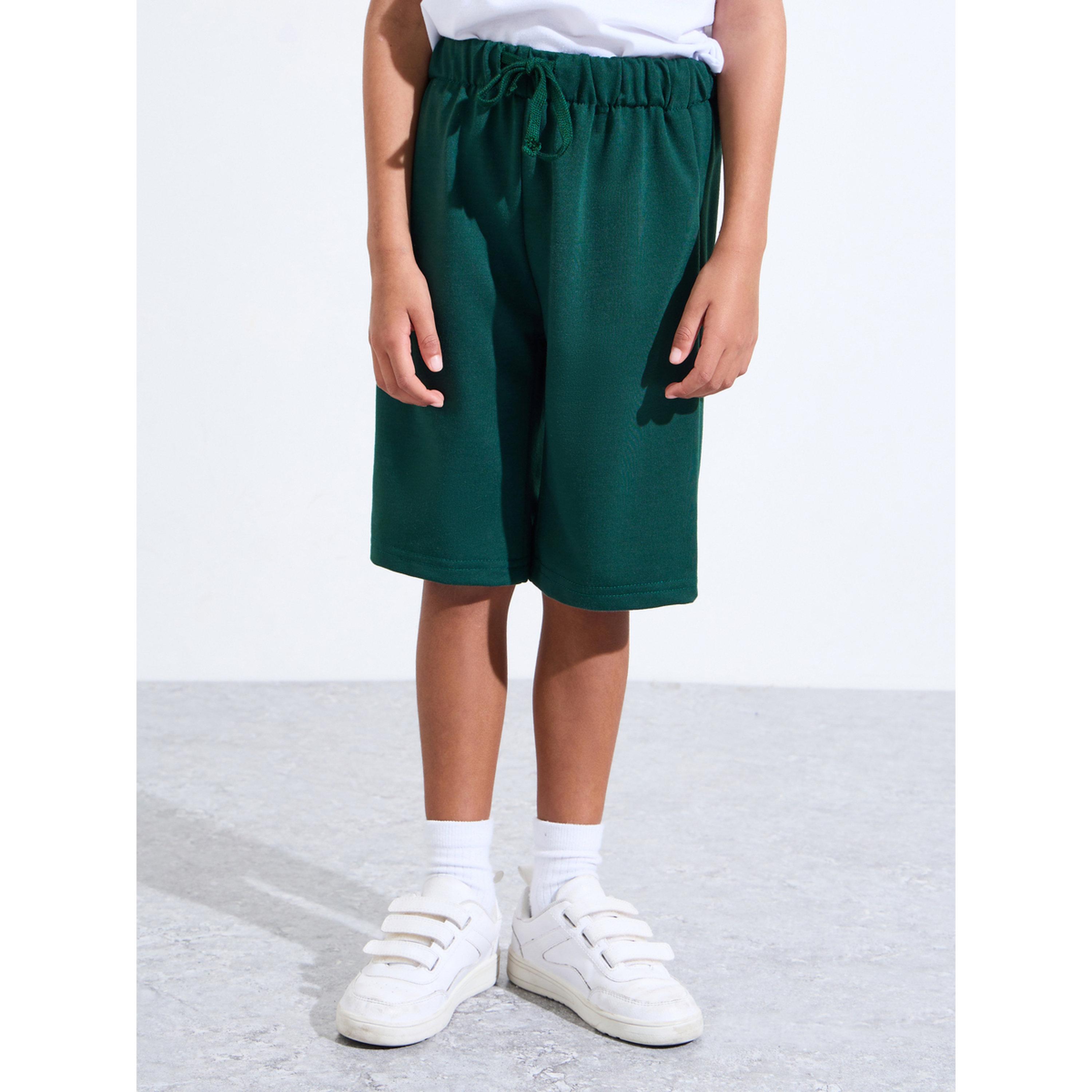 مجموعة من بنطال جوغر بقصة مستقيمة وهودي بسحاب بأكمام راجلان وتطريز للأولاد الصغار-boys-clothing-setsandcoords-image-6