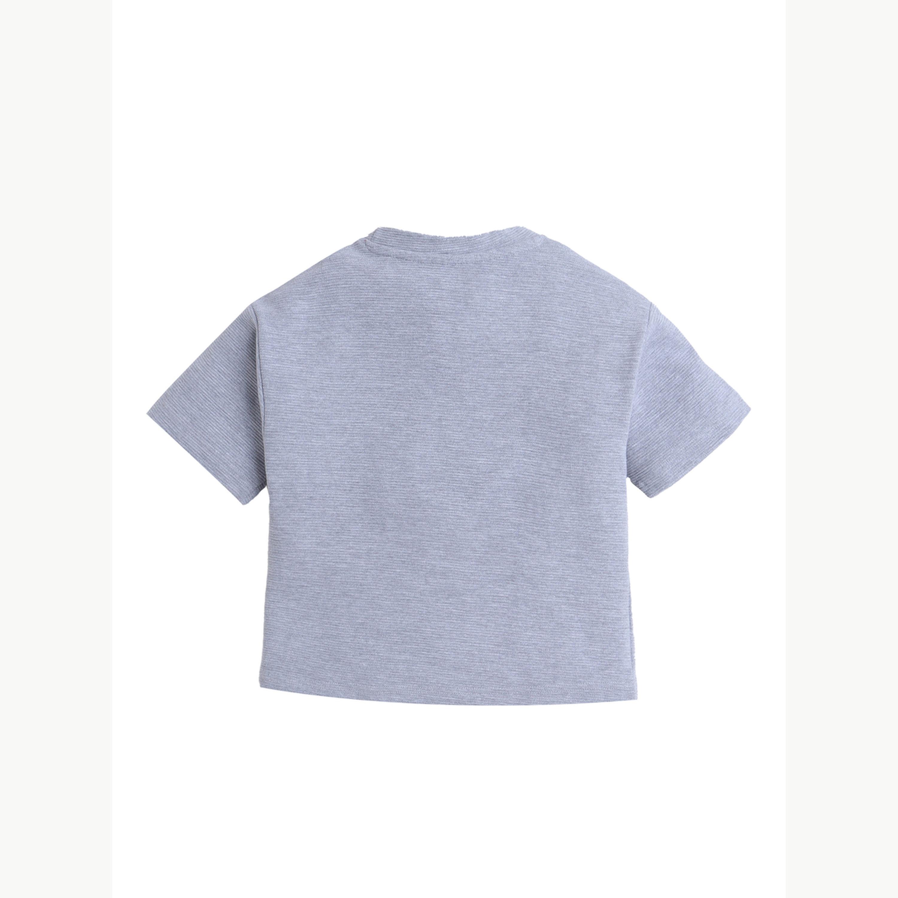 تيشيرت بياقة دائرية محبوك بتفاصيل بارزة الملمس للأولاد-boys-clothing-tshirtsandpolos-image-4