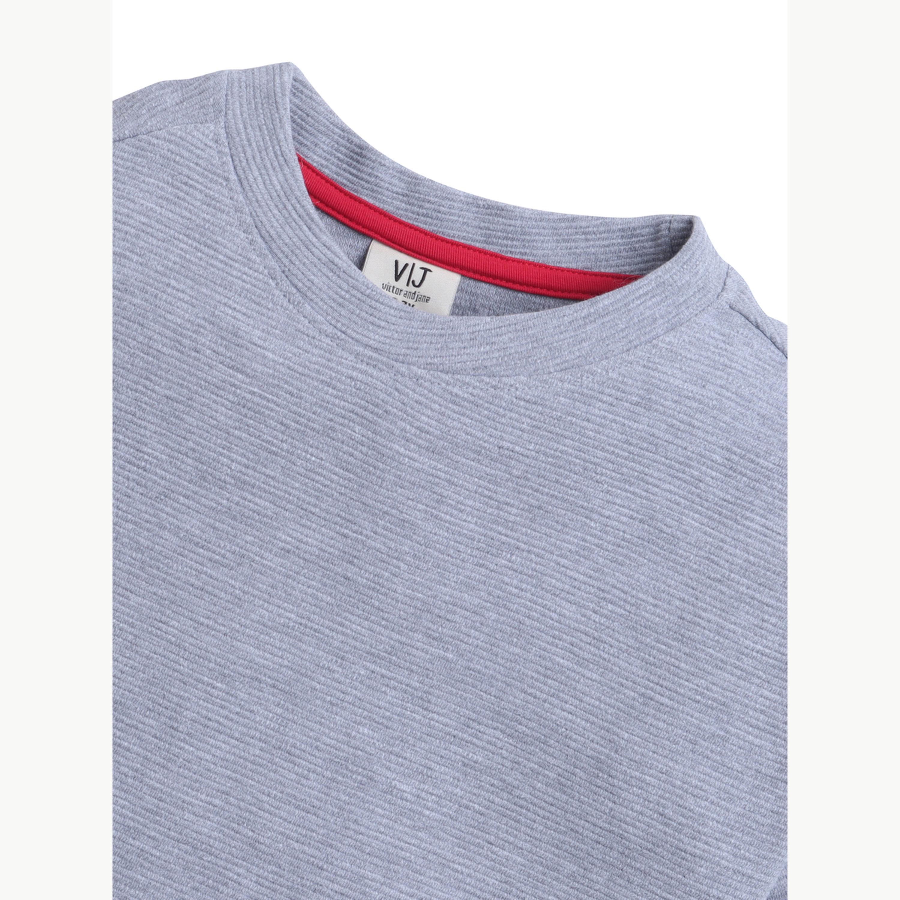 تيشيرت بياقة دائرية محبوك بتفاصيل بارزة الملمس للأولاد-boys-clothing-tshirtsandpolos-image-5