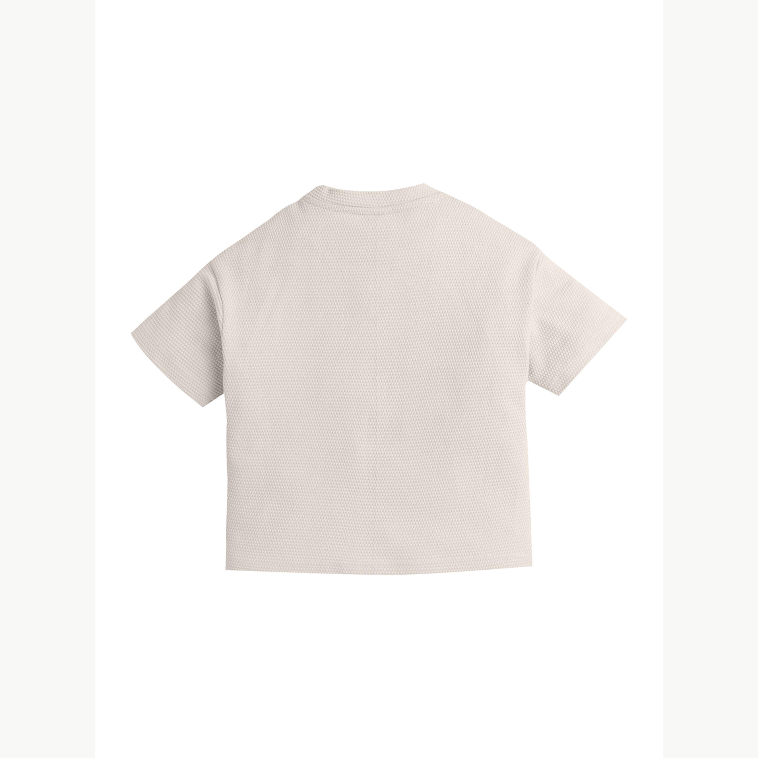 تيشيرت بياقة دائرية محبوك بتفاصيل بارزة الملمس للأولاد-boys-clothing-tshirtsandpolos-image-4