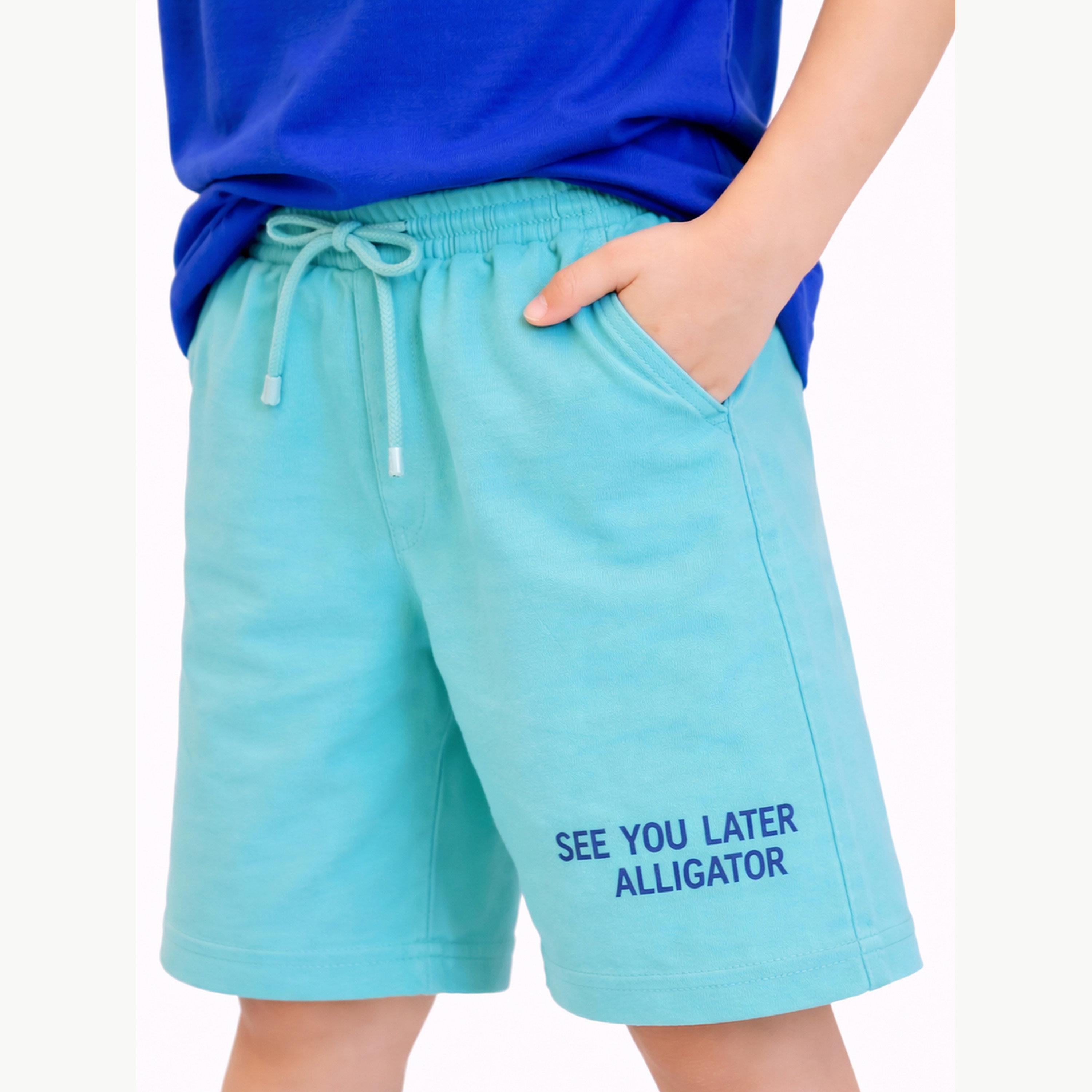مجموعة من شورت وتيشيرت بطبعة جرافيك تمساح للأولاد-boys-clothing-setsandcoords-image-6