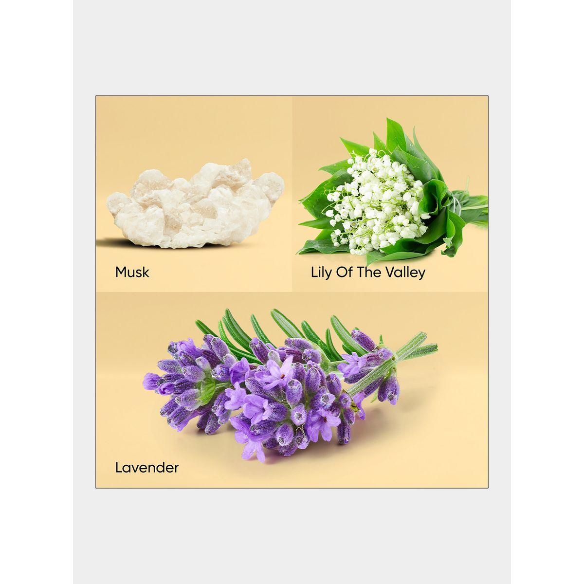 Lavender Musk Room Spray - 300 ml-beautyandpersonalcare-fragrance-women-image-4