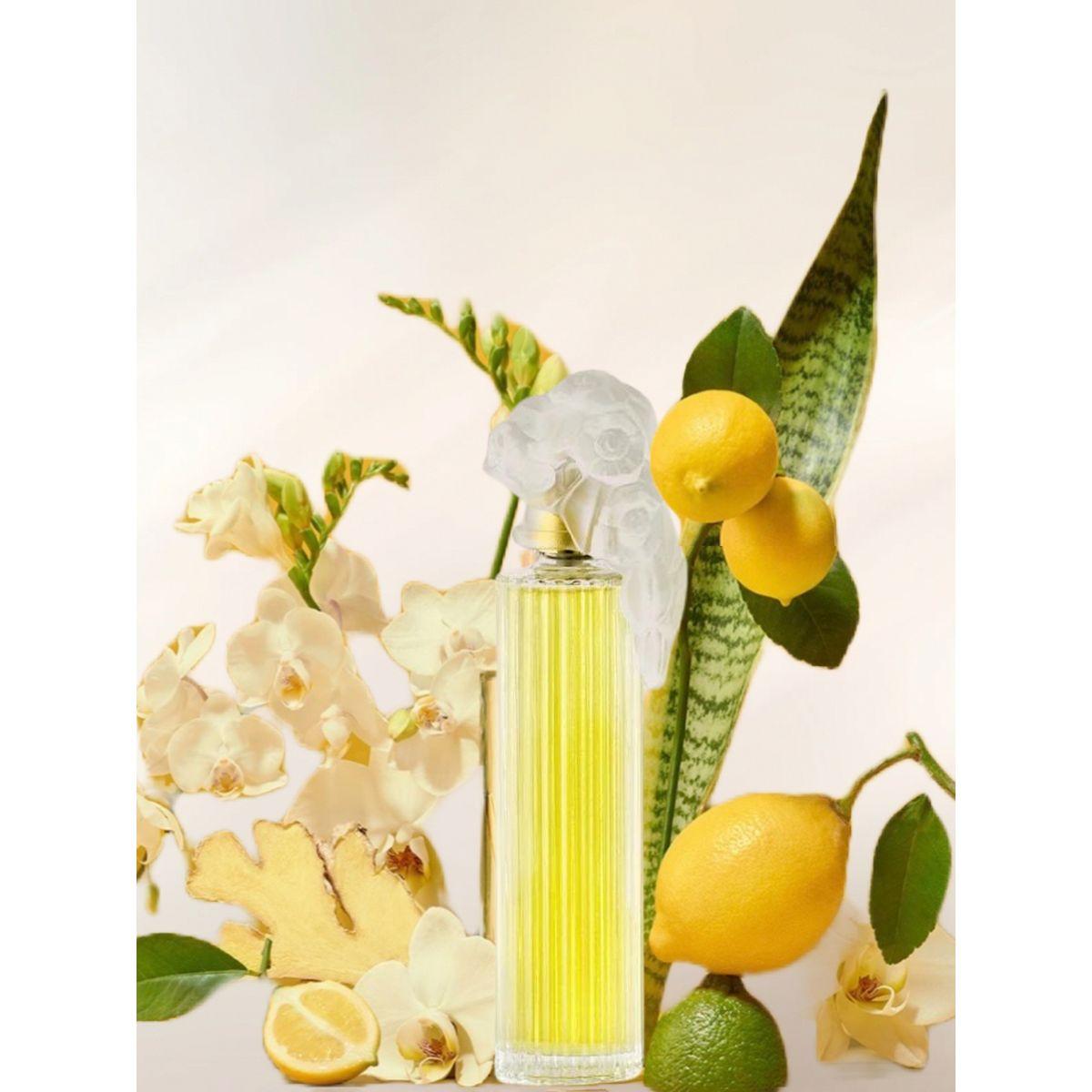 J.CASANOVA Plaisir Eau De Parfum, 100ml-beautyandpersonalcare-fragrance-women-image-4
