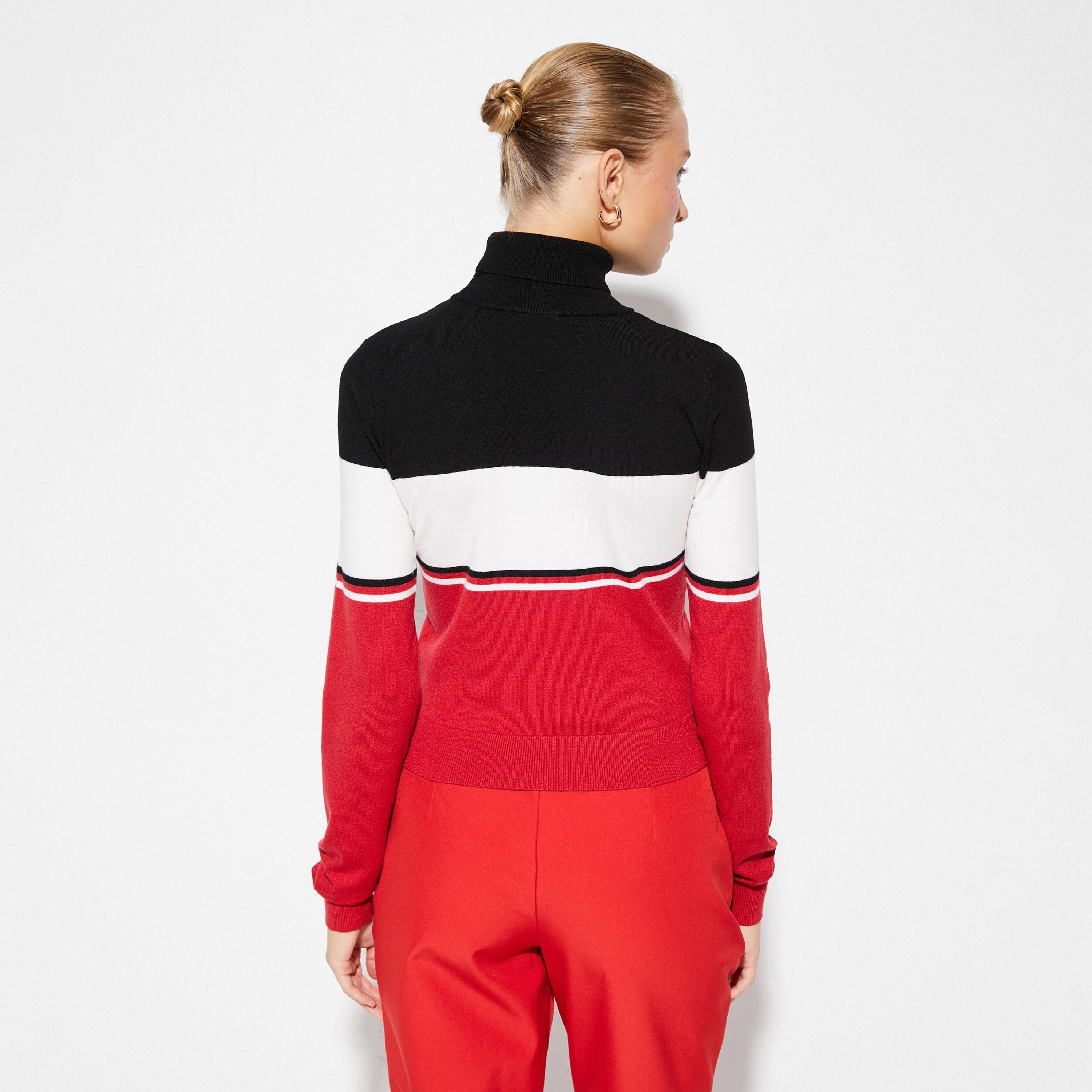 كنزة (بلوفر) نسائية بنمط كتل الألوان بياقة عالية (ترتل نيك) بلون أحمر من كوتون-women-winterwear-cardigansandjumpers-jumpers-image-3