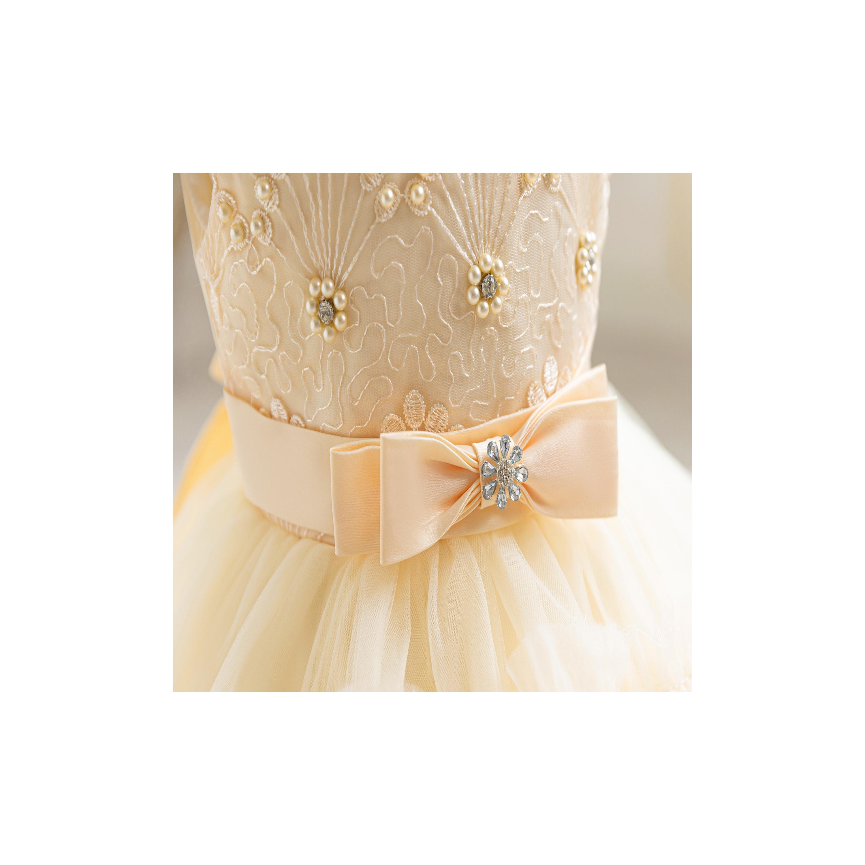 Babyqlo Embroidered Sleeveless Ruffle Party Dress-baby-girls-clothing-dressesandjumpsuits-image-4