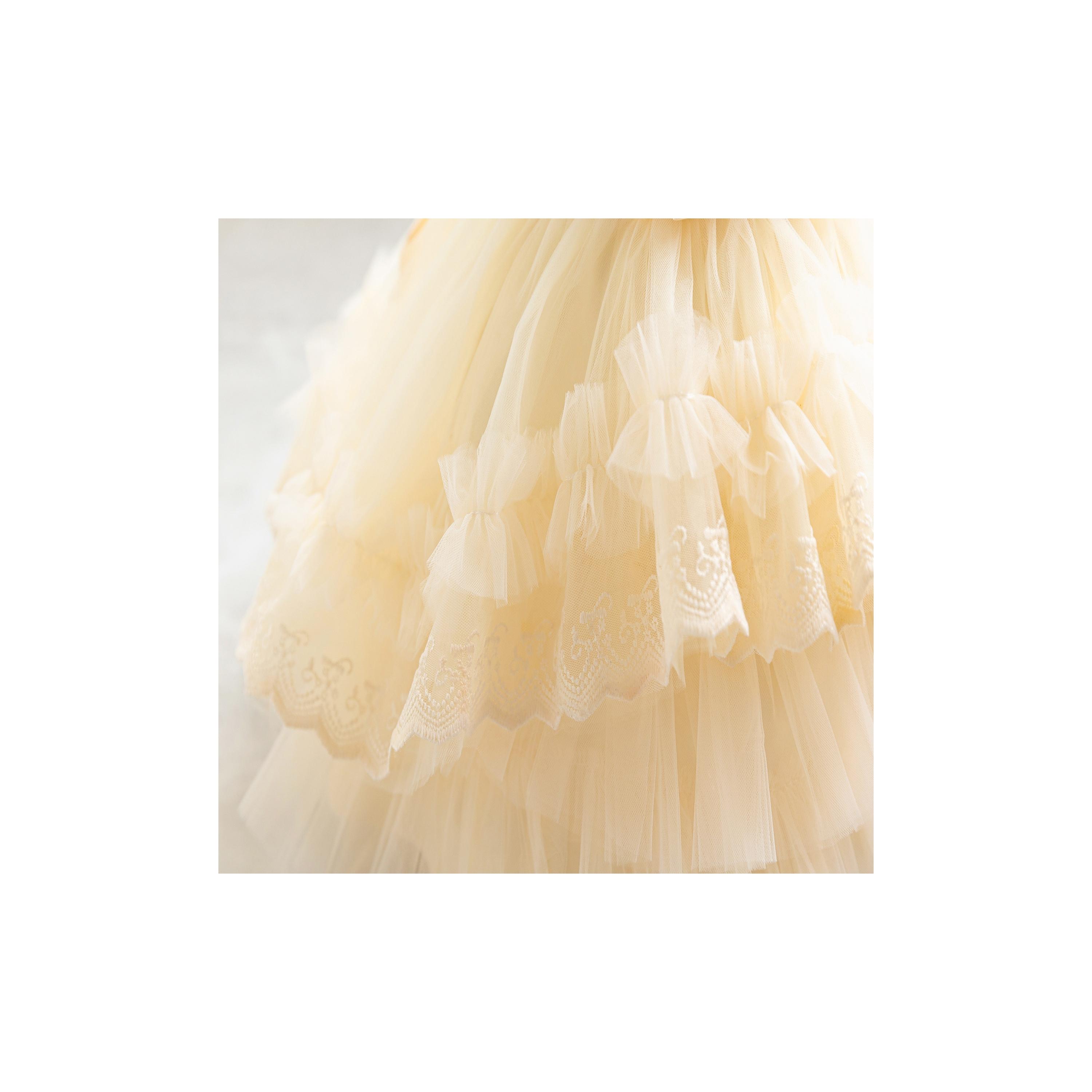 Babyqlo Embroidered Sleeveless Ruffle Party Dress-baby-girls-clothing-dressesandjumpsuits-image-7