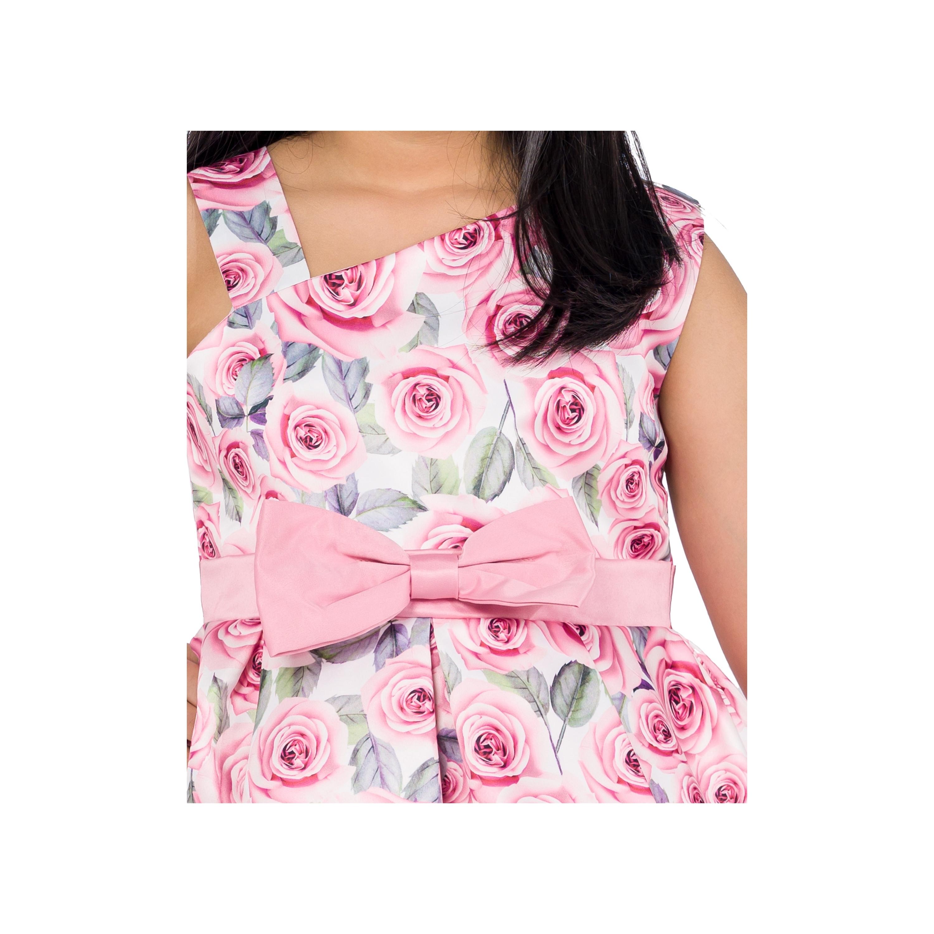 Babyqlo Rosy Delight Floral Printed Sleeveless Party Dress-girls-clothing-dressesandjumpsuits-image-4