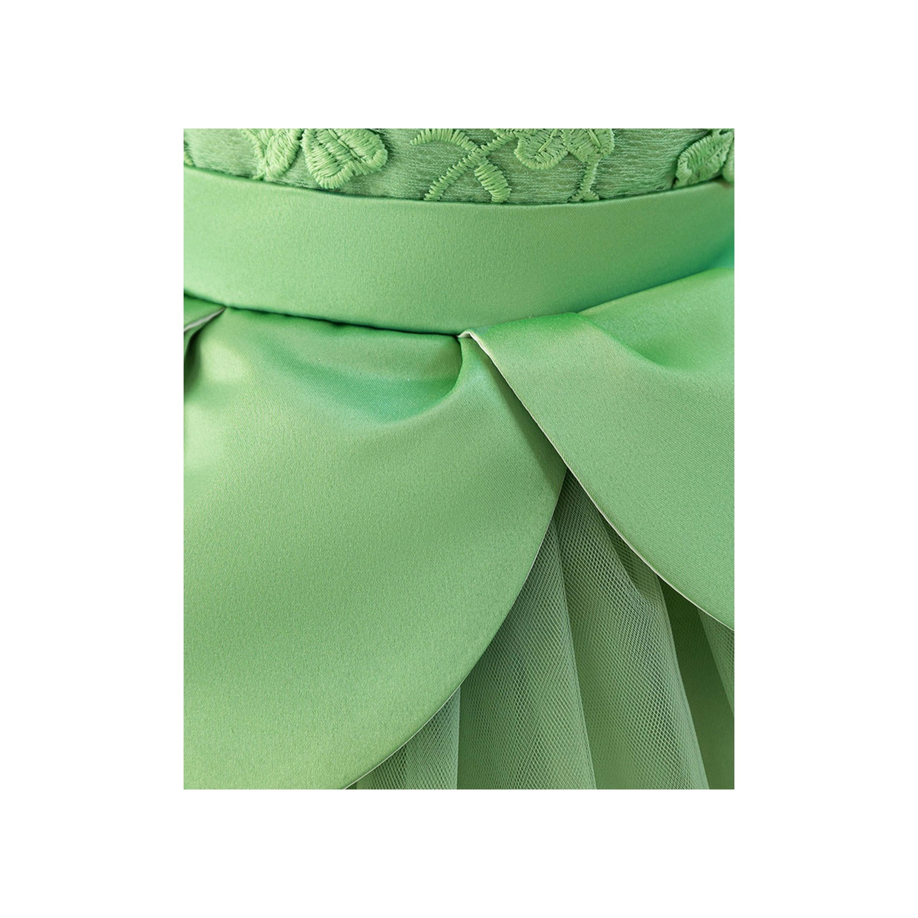 Babyqlo Embroidered Sleeveless Tulle Party Dress-girls-clothing-dressesandjumpsuits-image-4