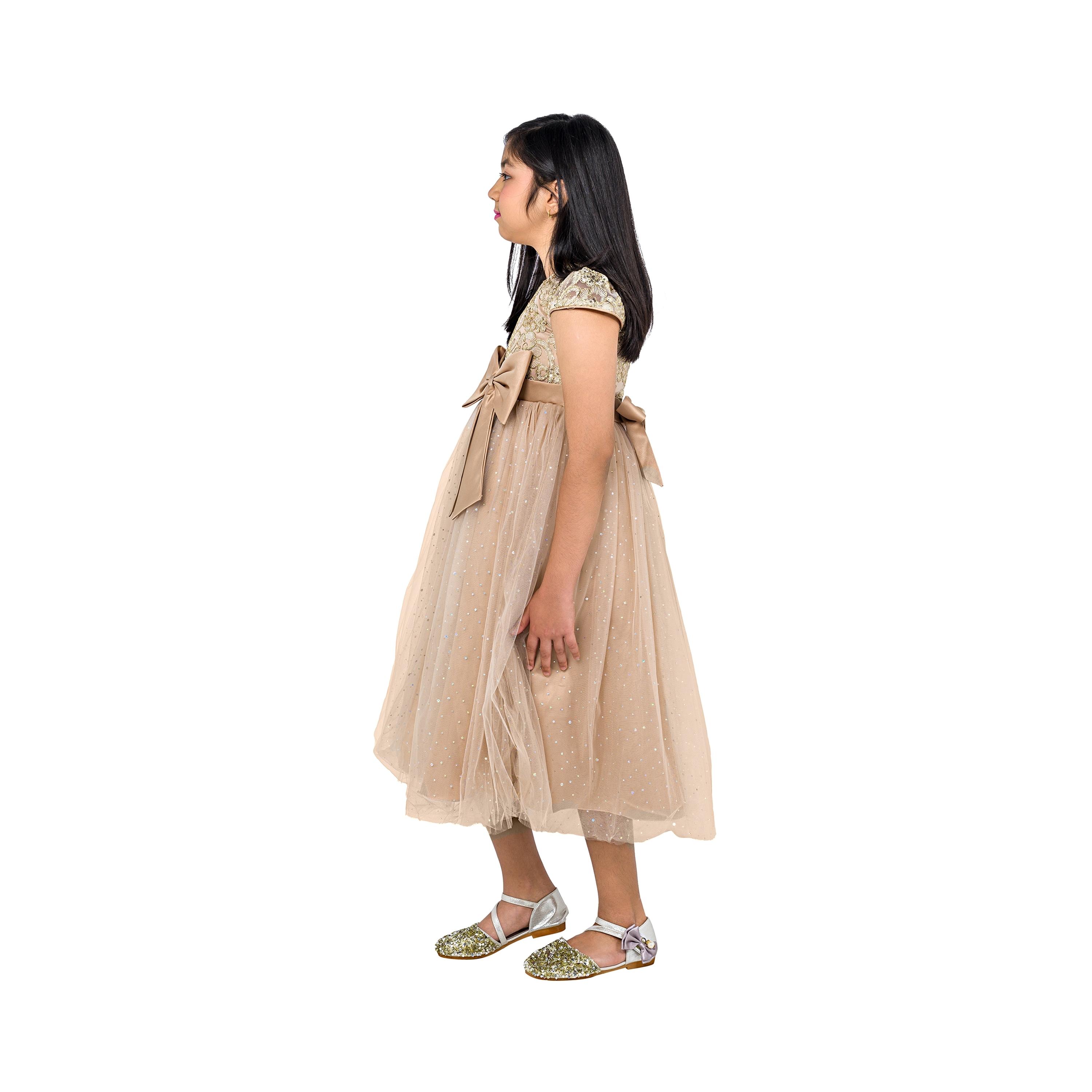 Babyqlo Embellished Cap Sleeves Princess Dress-girls-clothing-dressesandjumpsuits-image-3