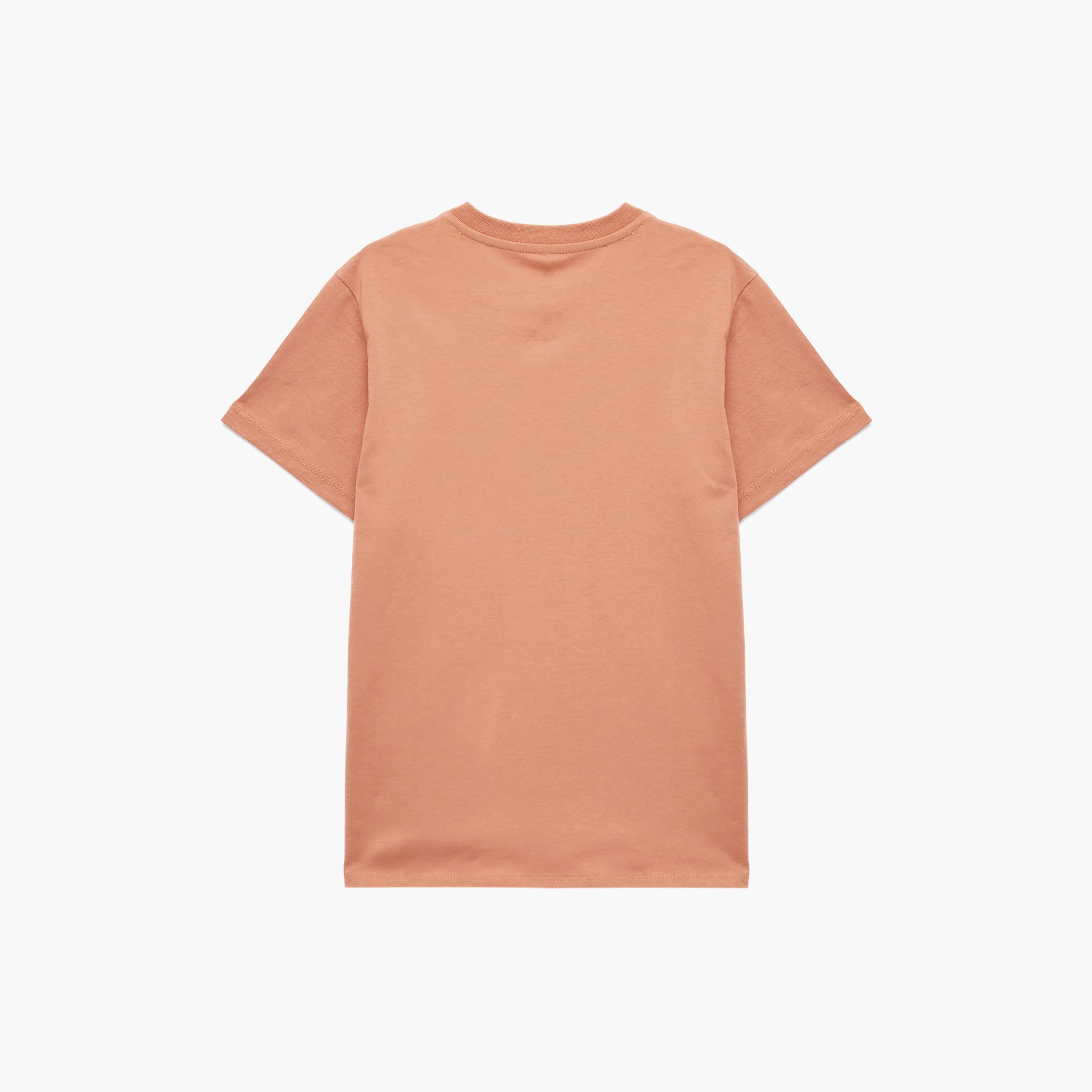 Koton Short Sleeves Printed T-Shirt-boys-clothing-tshirtsandpolos-image-2