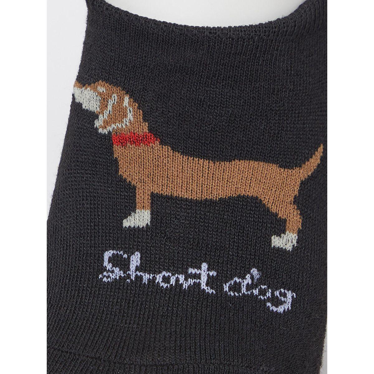 Styli Pack of 5 - Dog Print Shoe Liner Socks-men-socks-image-11