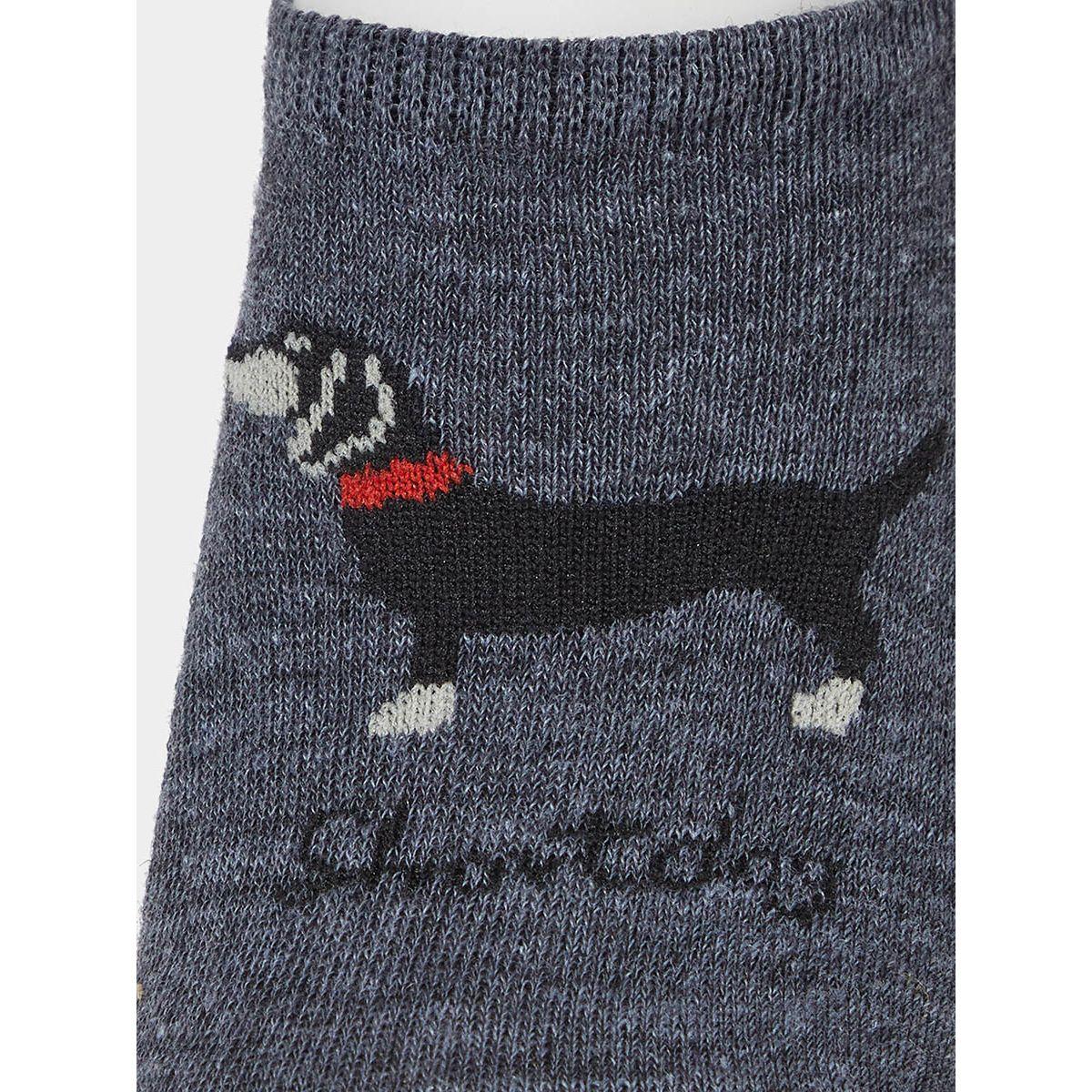 مجموعة من 5 جوارب كاجوال-men-socks-image-3