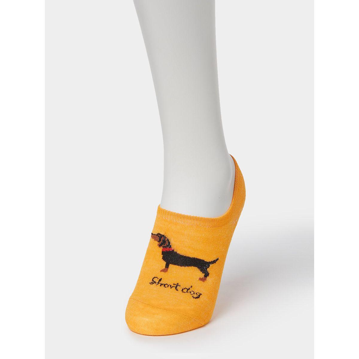 Styli Pack of 5 - Dog Print Shoe Liner Socks-men-socks-image-4