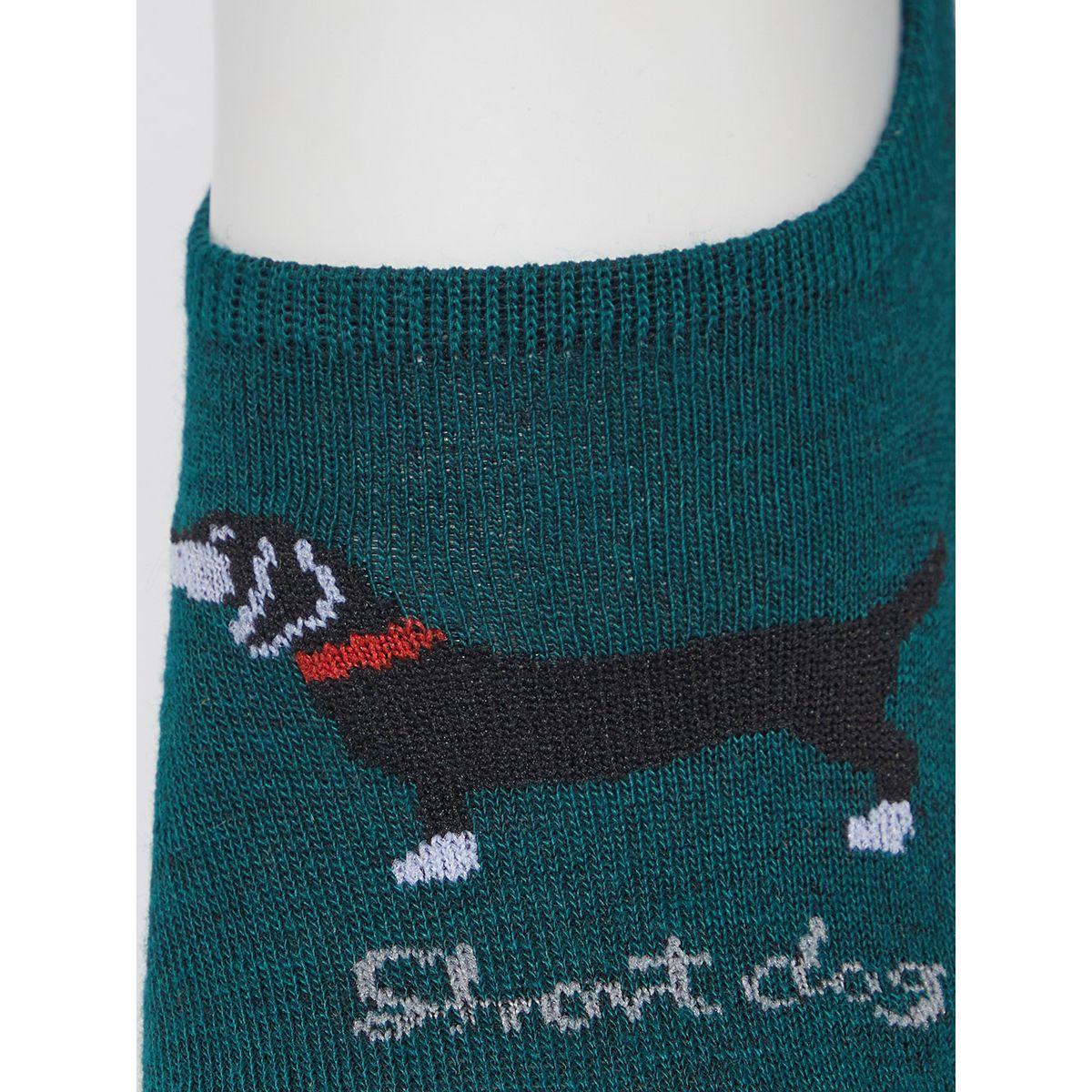 Styli Pack of 5 - Dog Print Shoe Liner Socks-men-socks-image-7