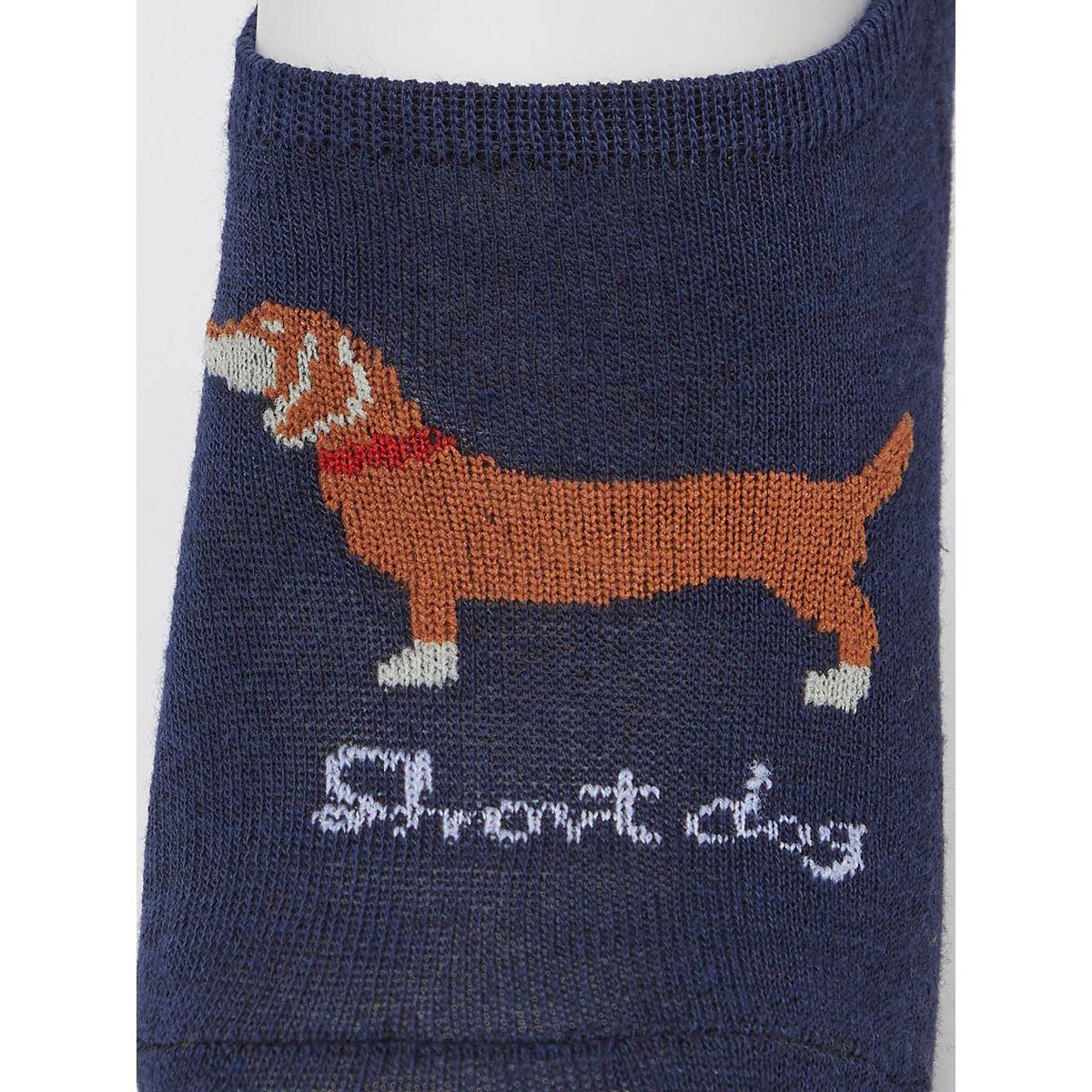 Styli Pack of 5 - Dog Print Shoe Liner Socks-men-socks-image-9